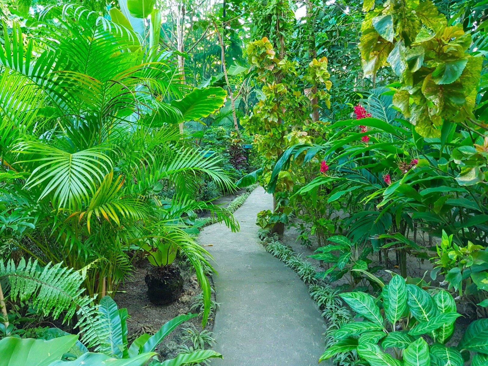 Tropical Landscape Garden Design Miami Knoll Landscape