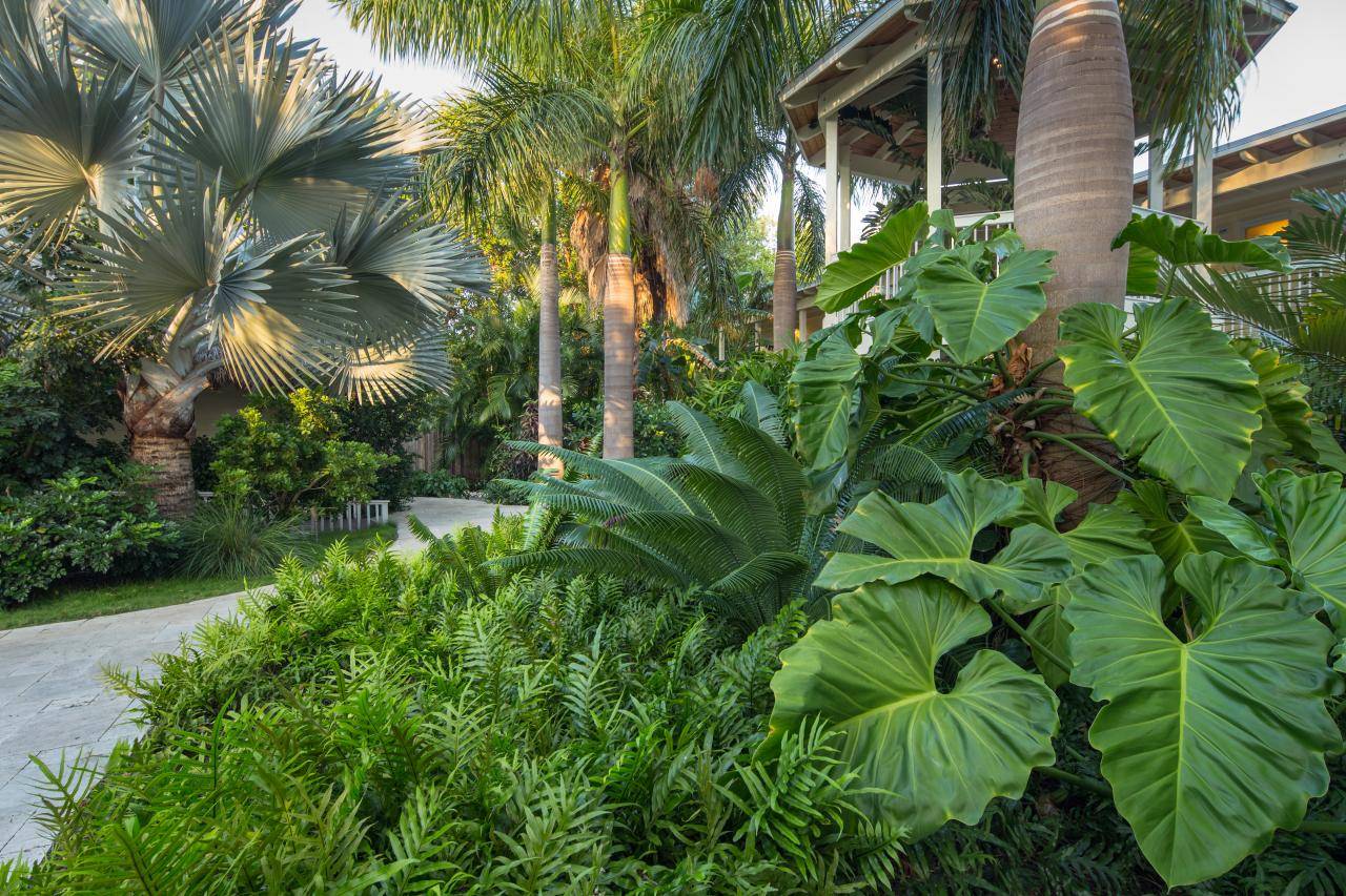 Tropical Plants Retreat Sunsetcom Sunset Magazine
