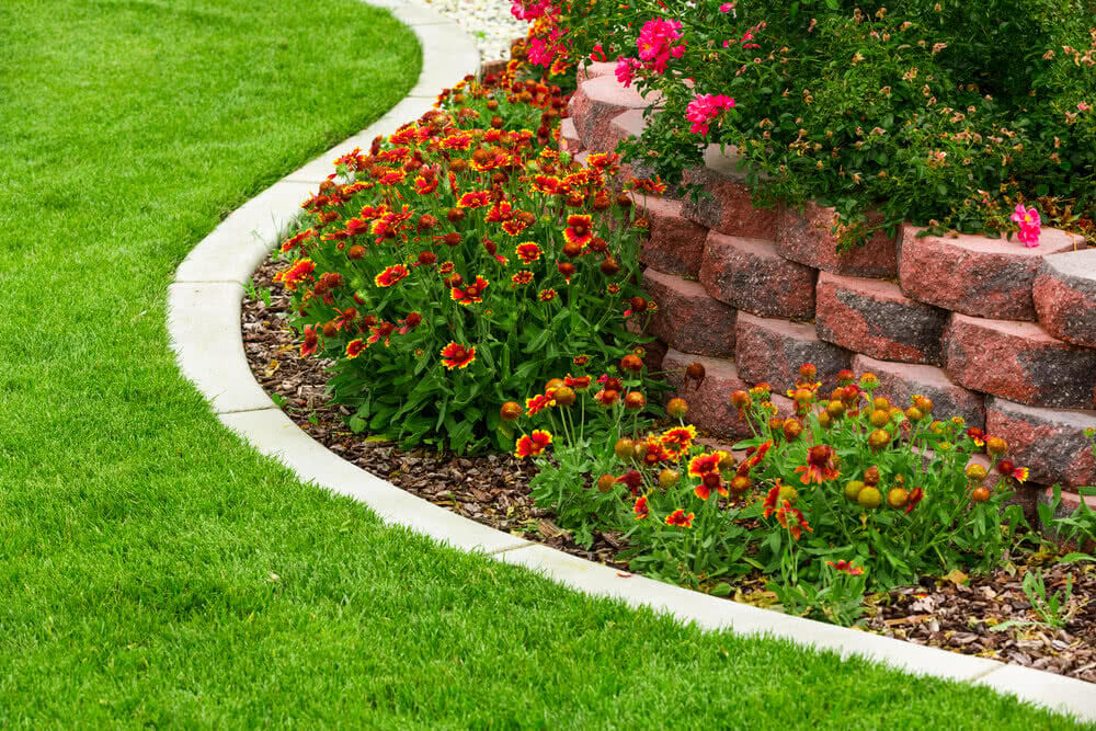 20 Garden Borders And Edging Plants Ideas Worth To Check Sharonsable 4810