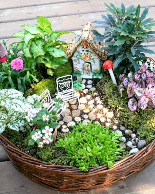 Beautiful And Easy Fairy Garden Ideas