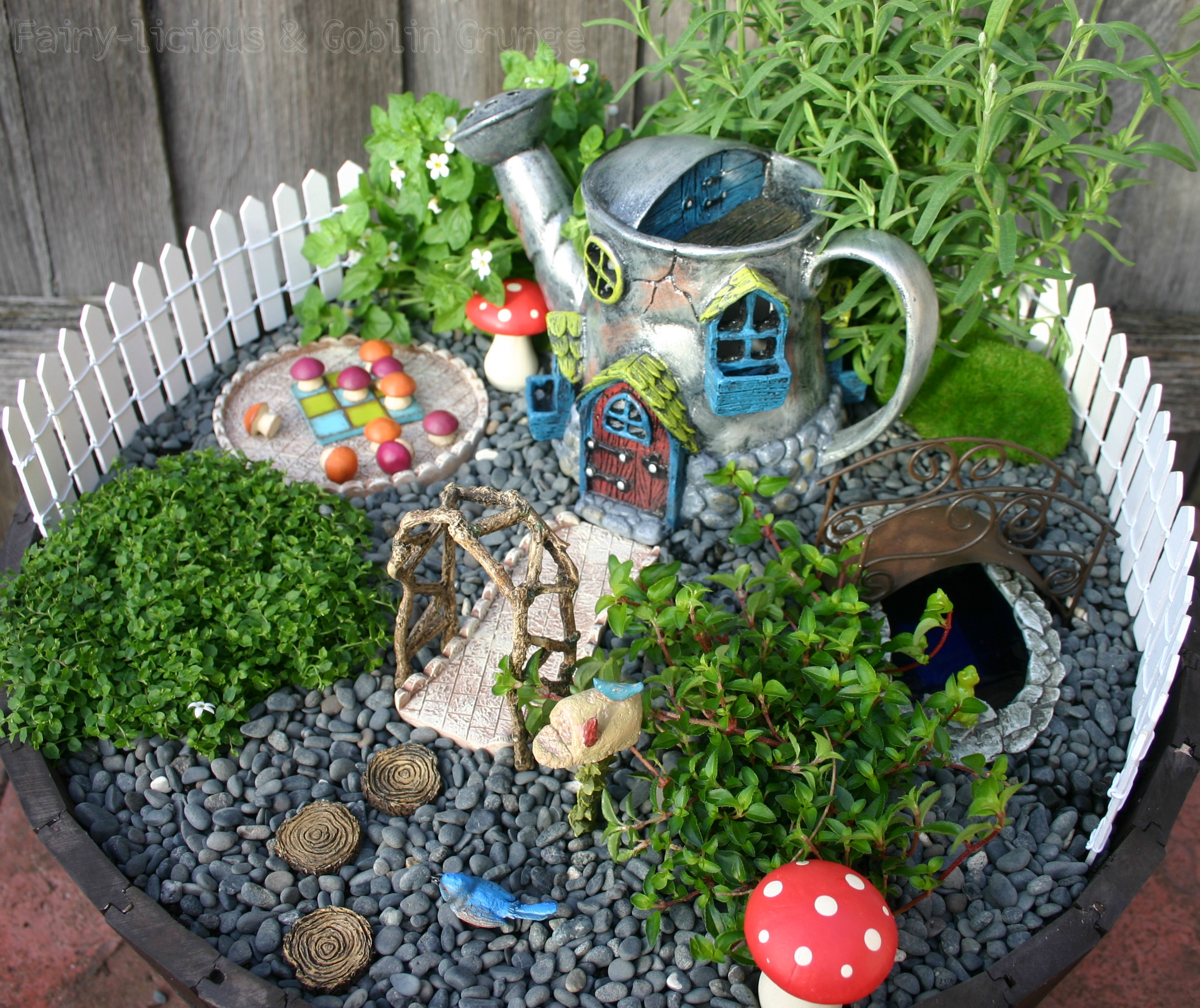 Diy Fairy Garden Palmers Garden Centre