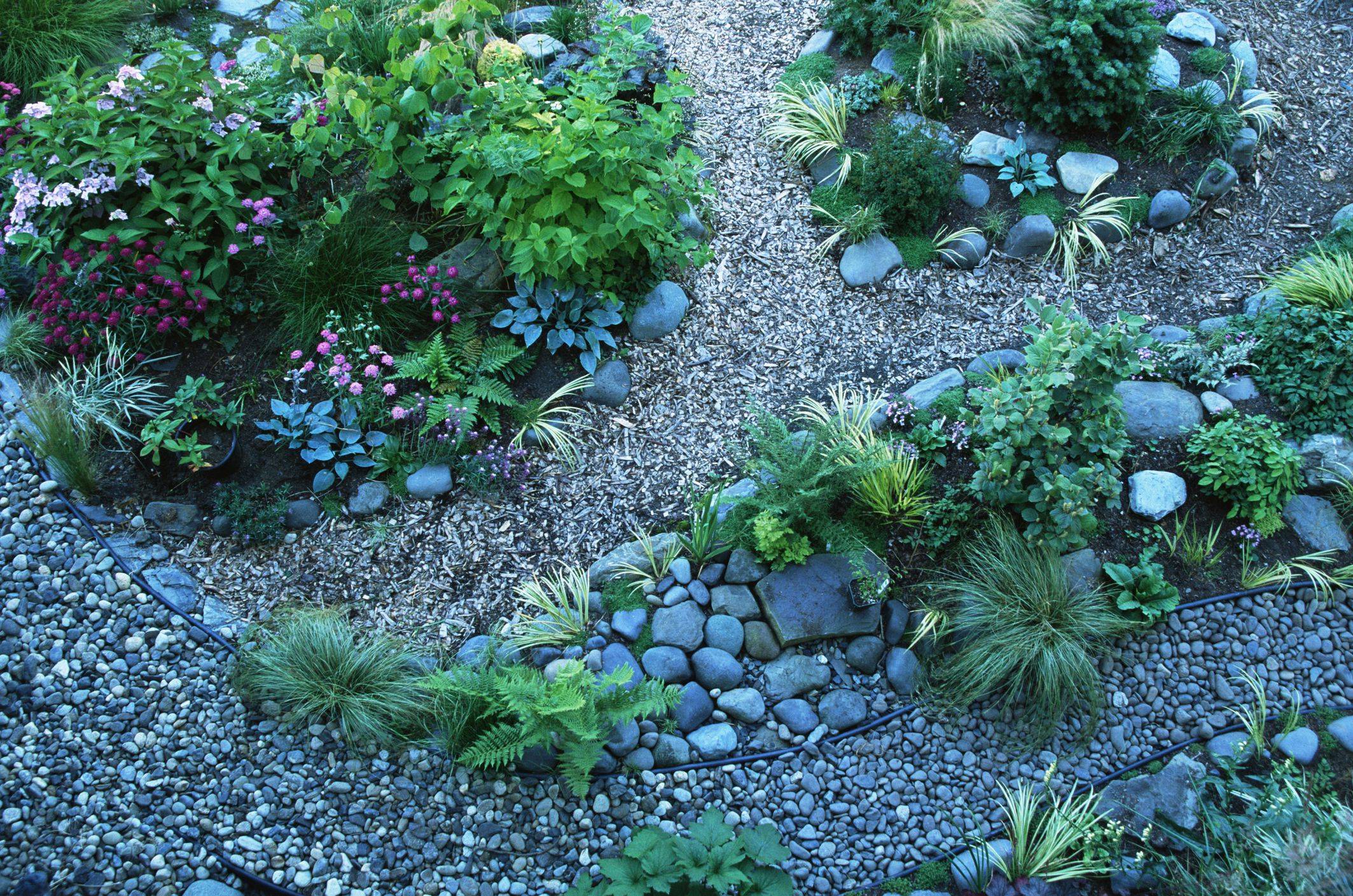 20 Plant For Rock Garden Ideas You Should Check Sharonsable 7629