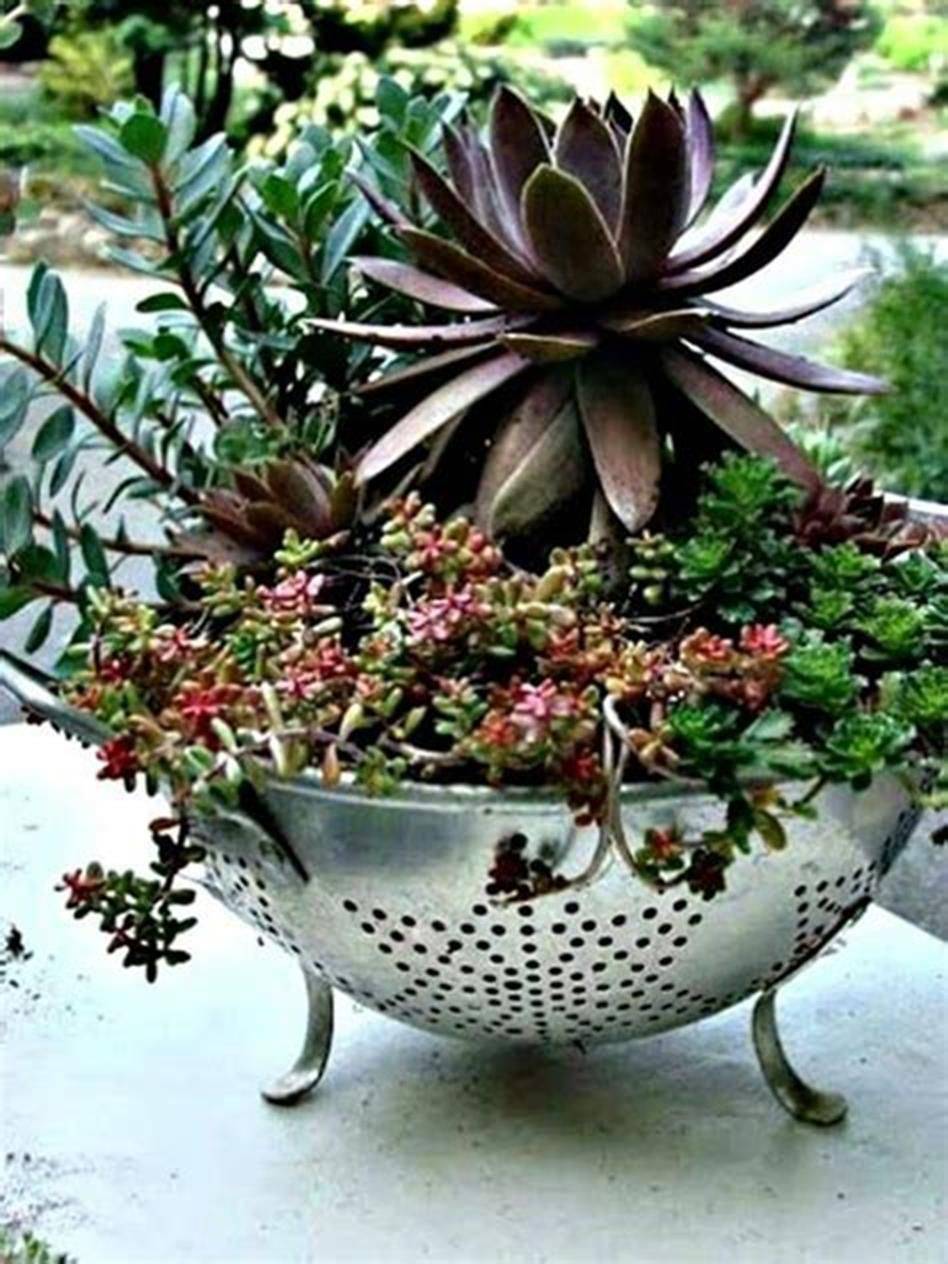 18 Easy Succulent Container Garden Ideas You Must Look Sharonsable 6663