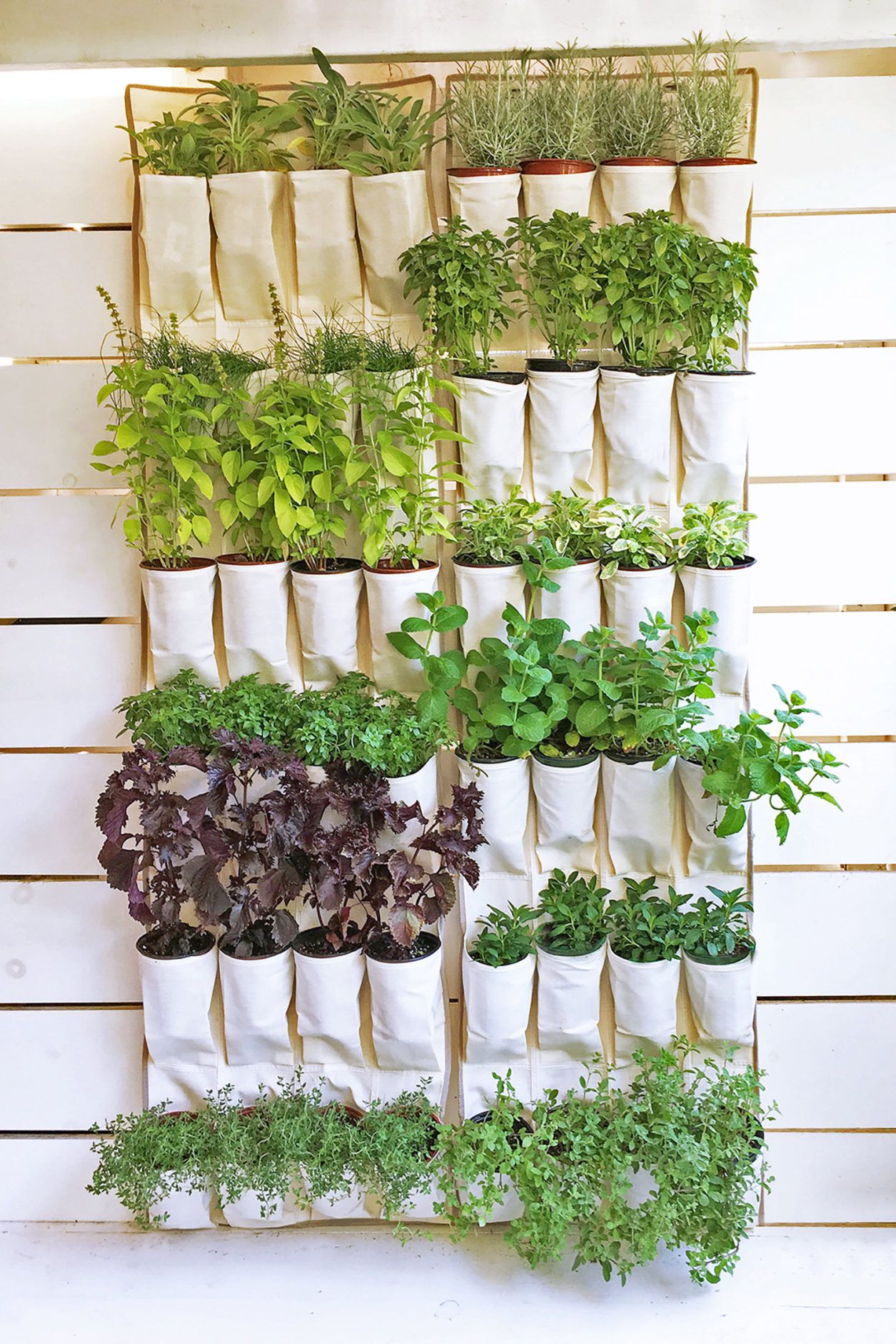 Diy Indoor Herb Garden Ideas