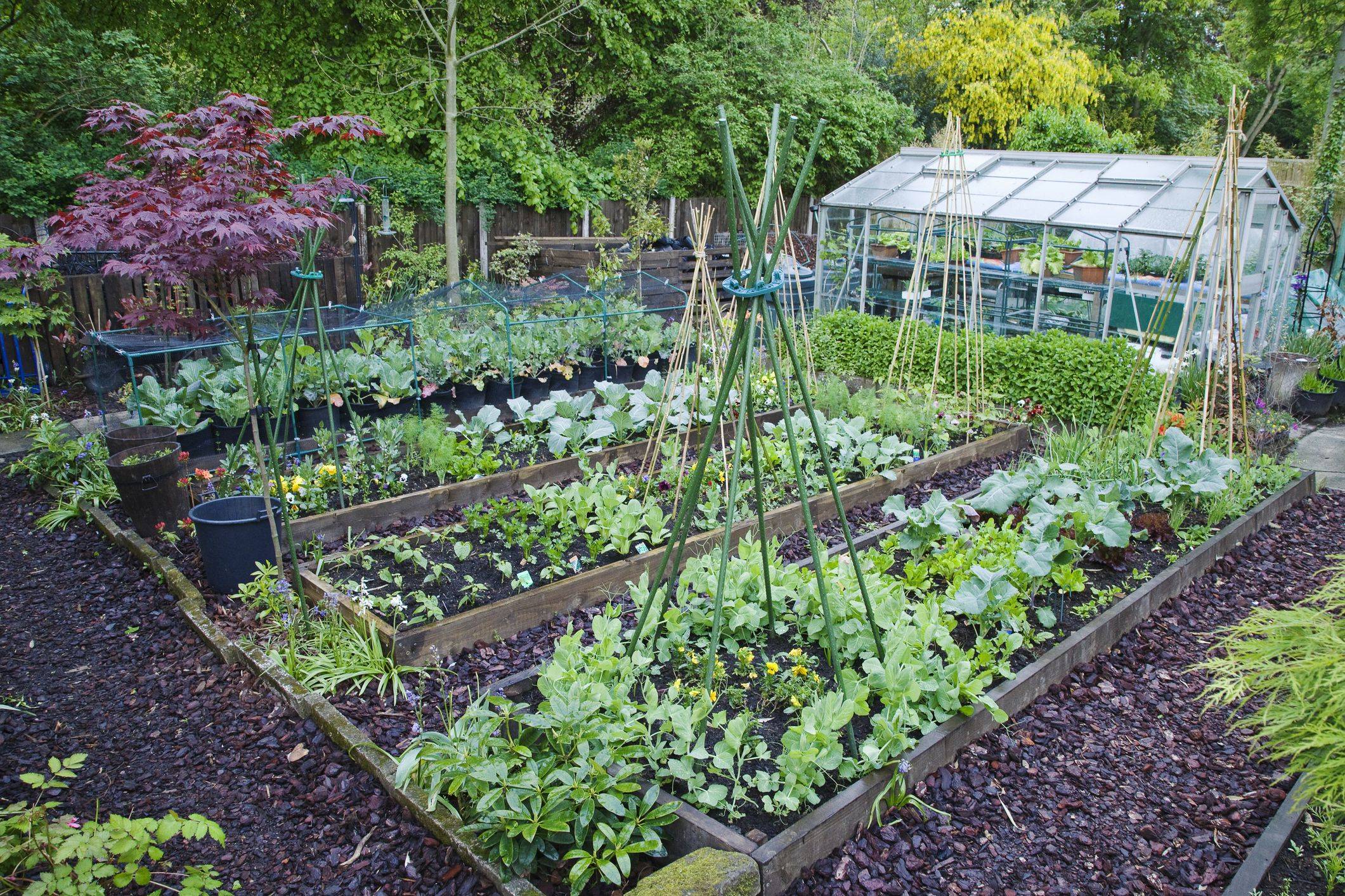 Your Garden Soil More Fertile Organic Gardening Tips