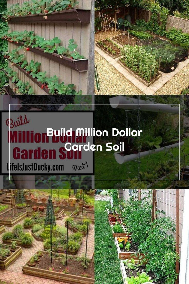 Best Vegetable Garden Ideas