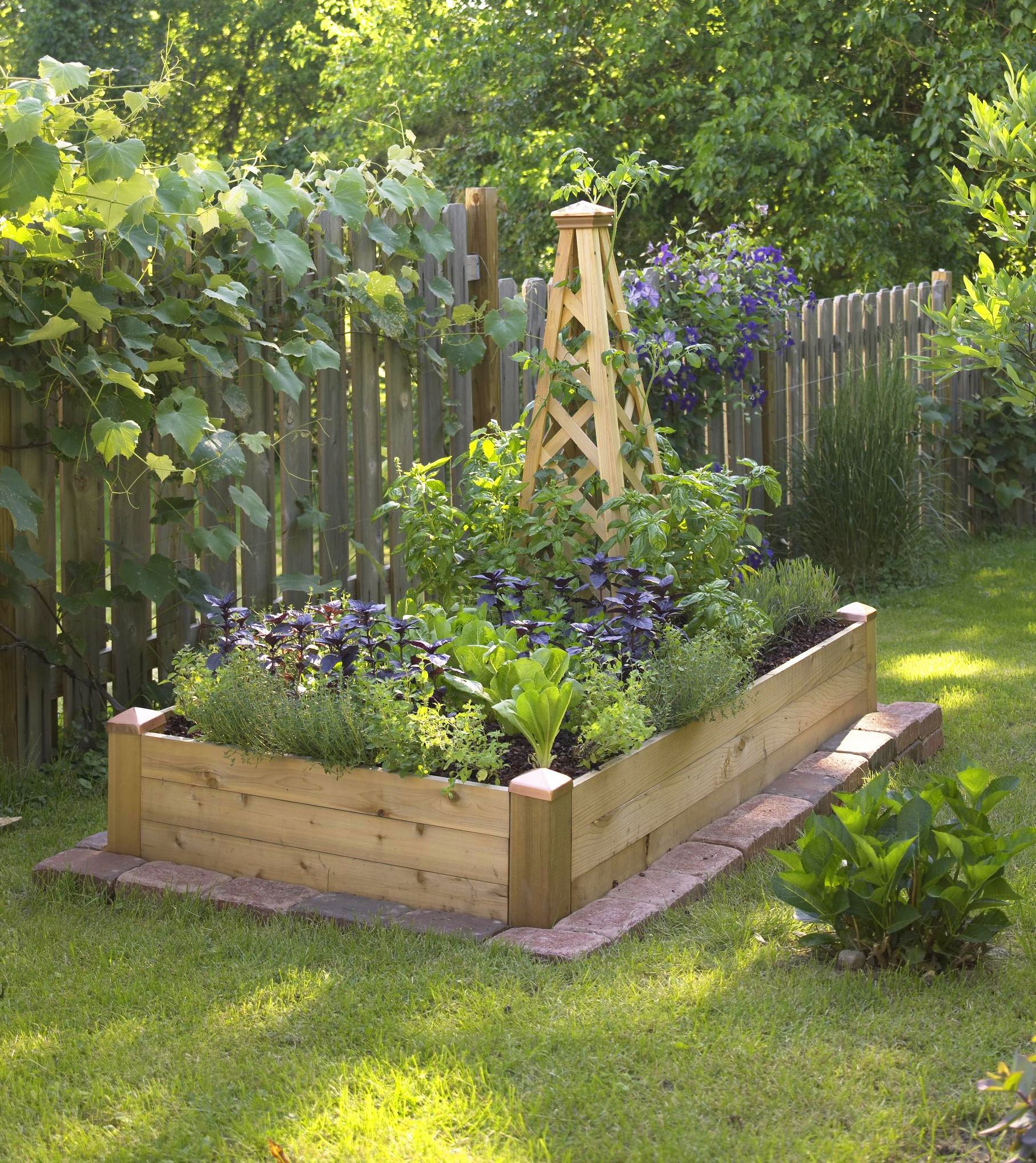 A Pretty Small Garden Space