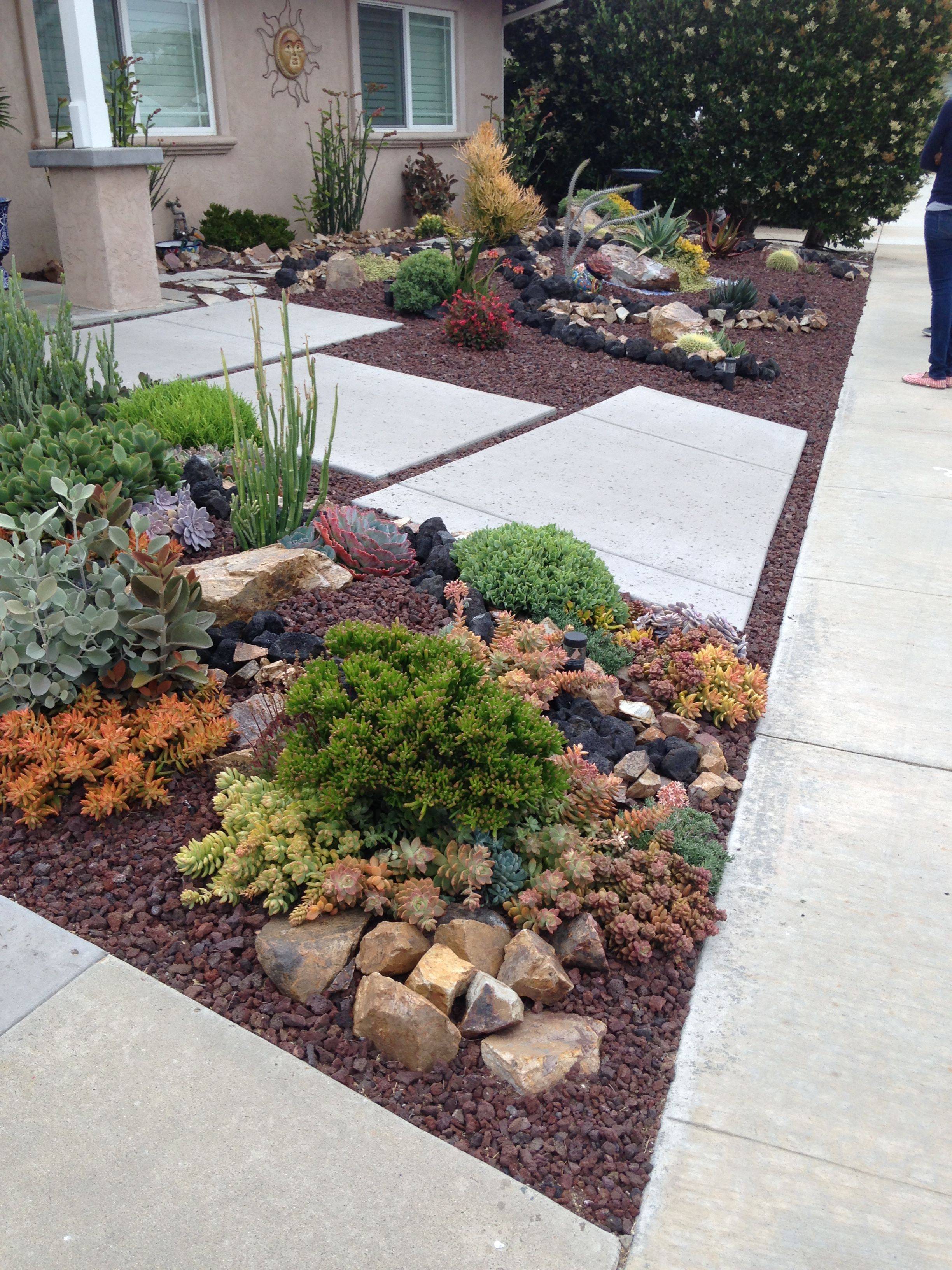 Drought Resistant Modern Landscape Ideas