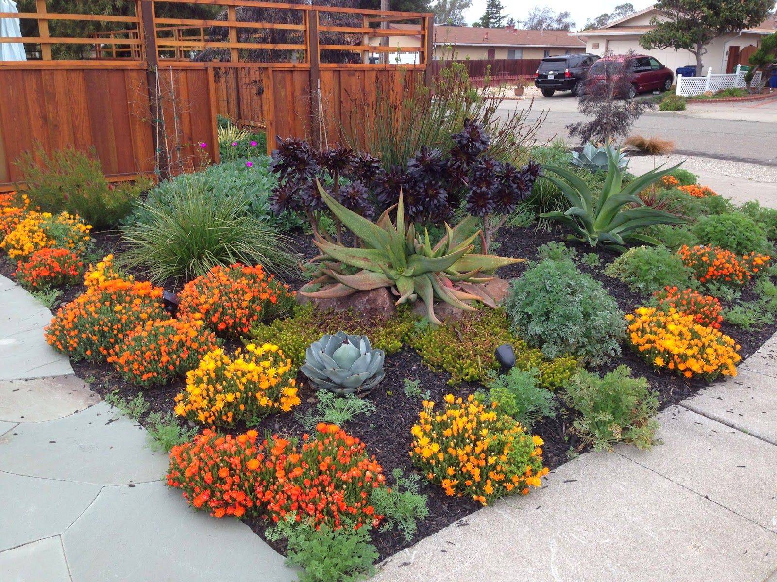 Another Waterwise Landscape Drought Resistant Landscaping