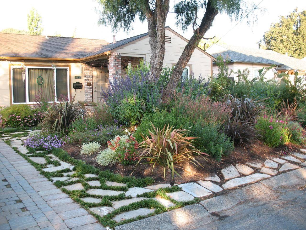 Drought Tolerant Landscape Front Yard