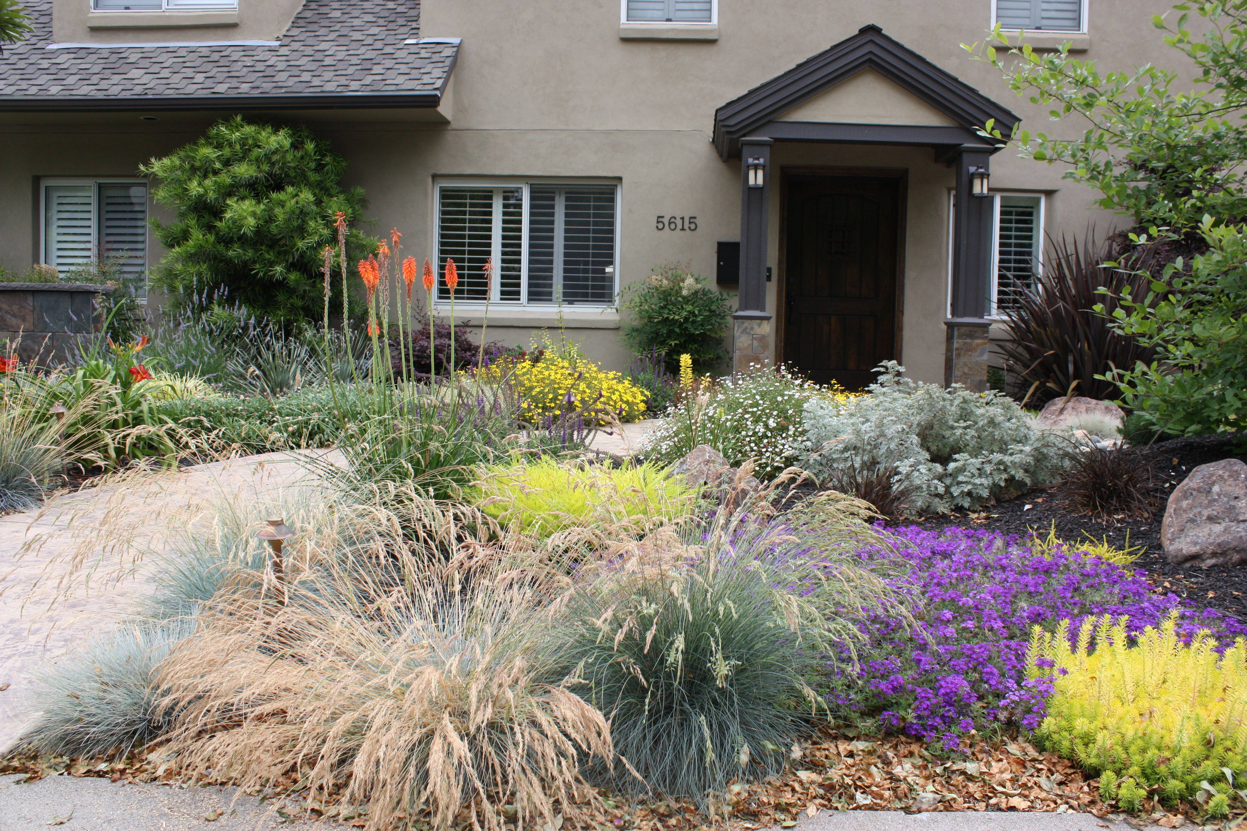 Drought Tolerant Landscape Front Yard