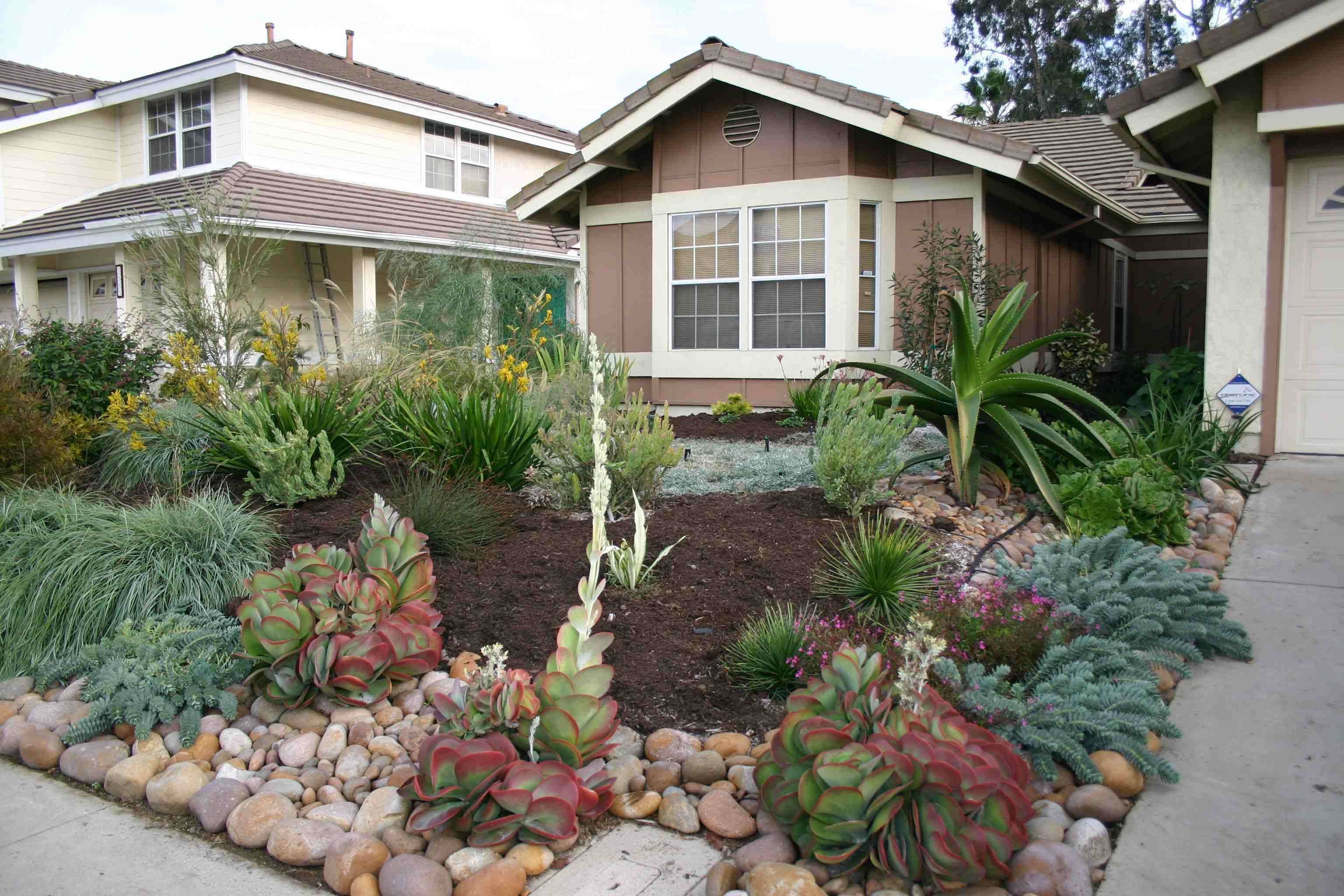 Front Yard Drought Tolerant Landscaping Ideas