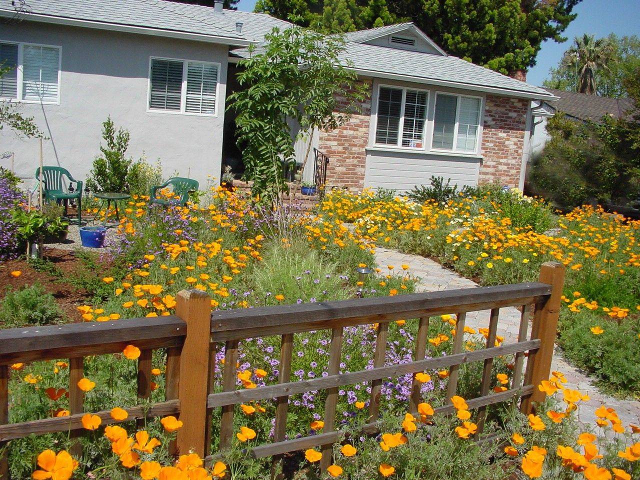 Nice Drought Tolerant Landscape Design