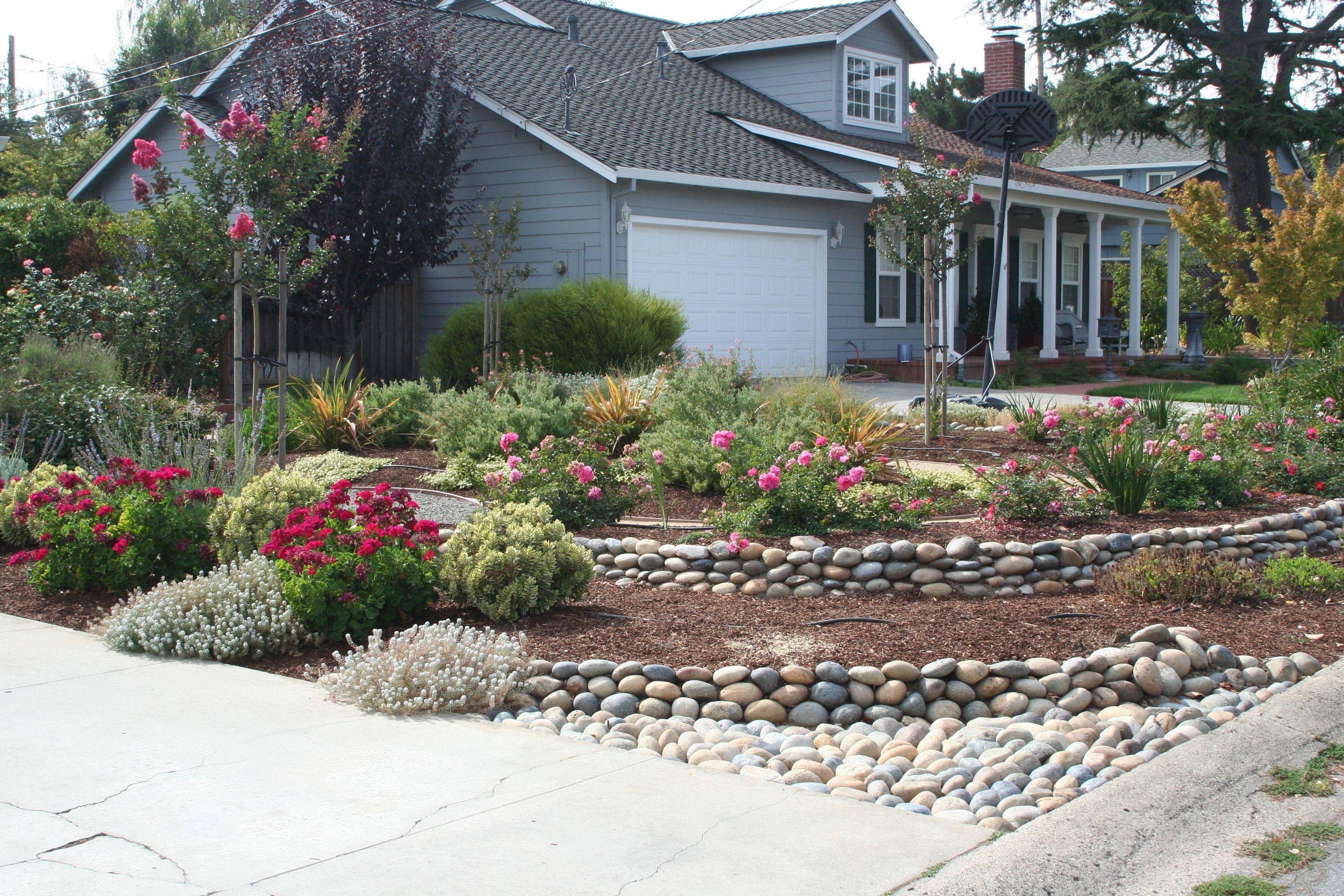 Xeriscape Water Saving Ideas