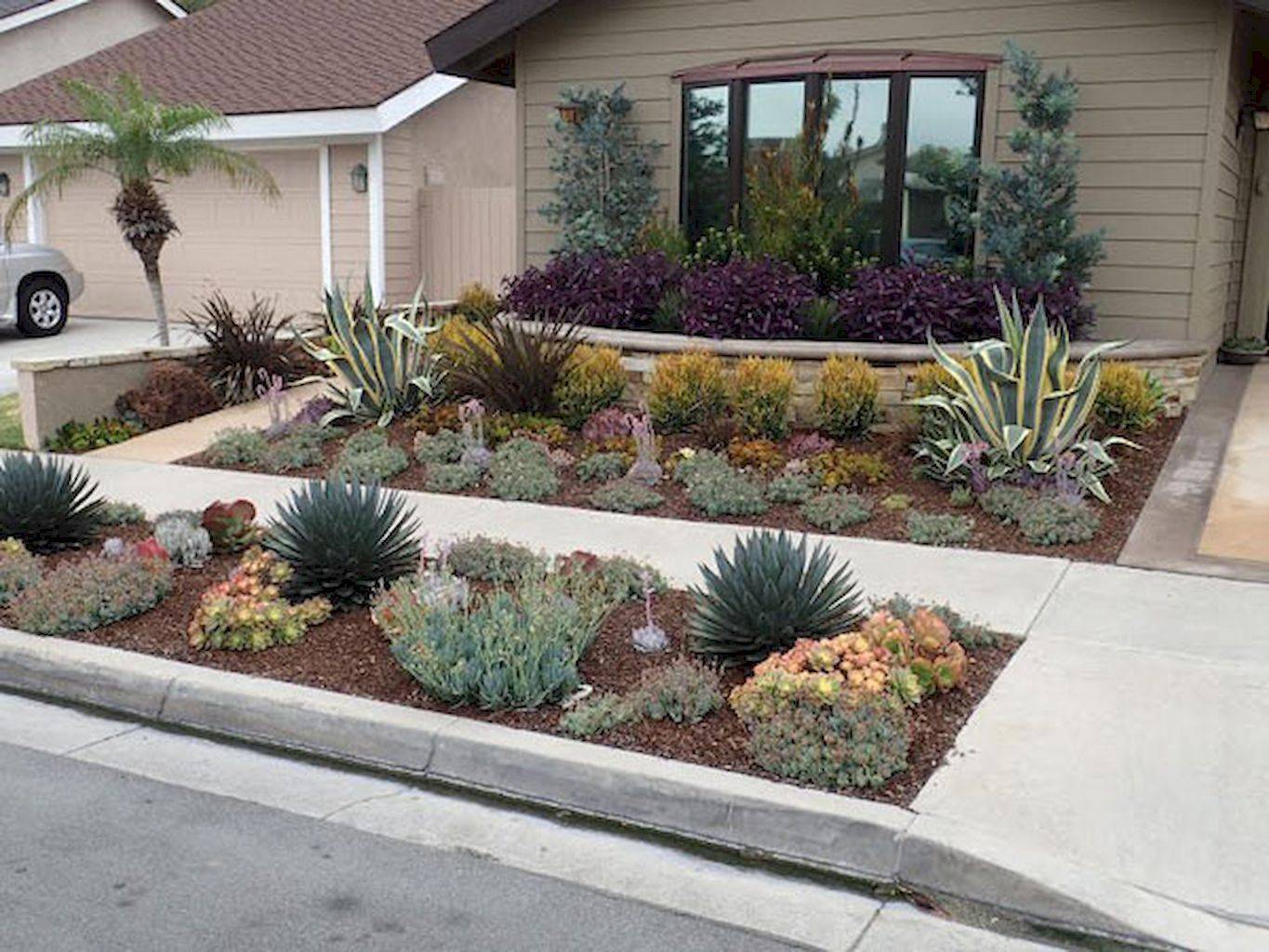 Xeriscape Water Saving Ideas