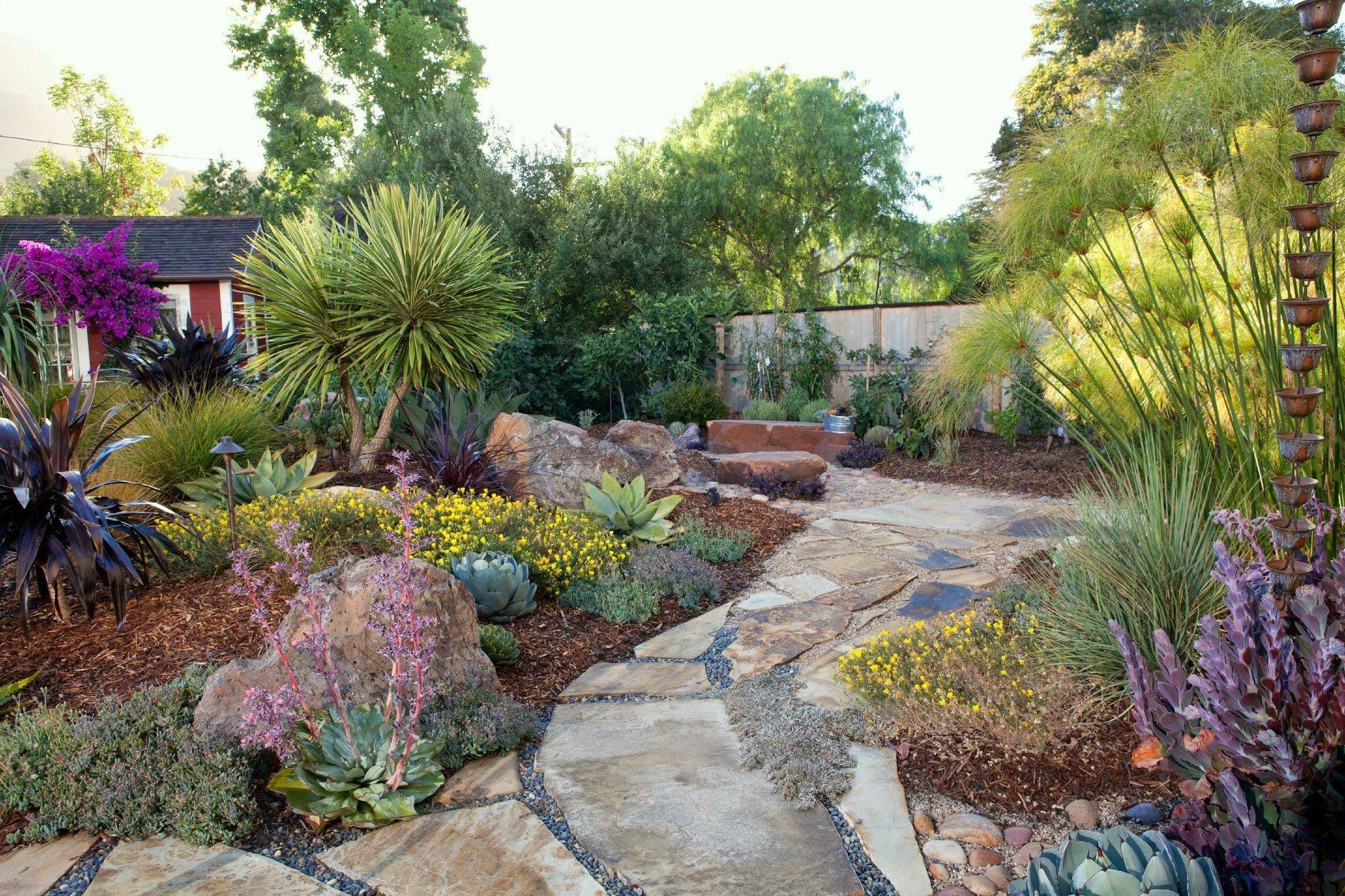 Drought Tolerant Landscaping Ideas