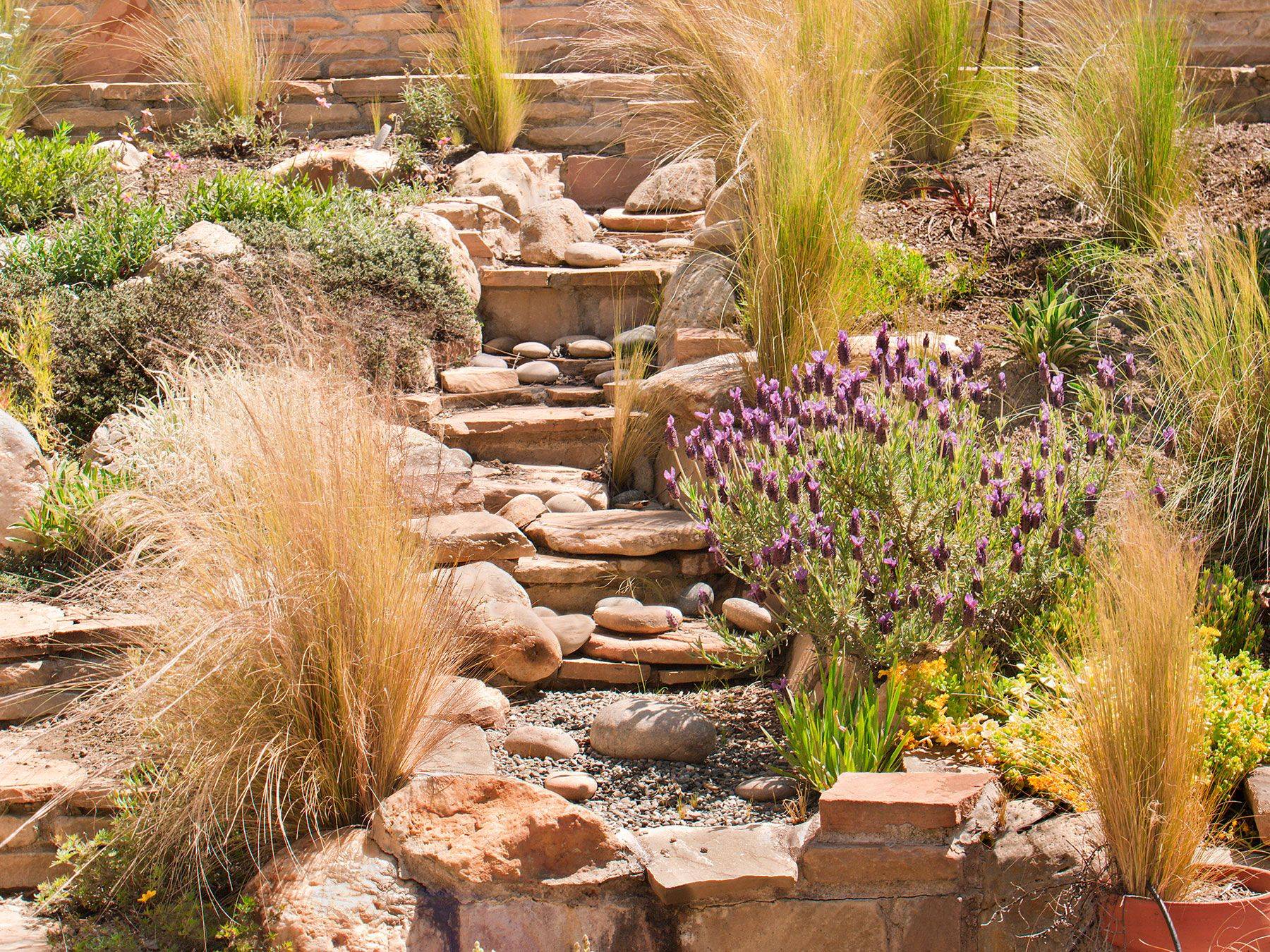 Front Yard Drought Tolerant Garden