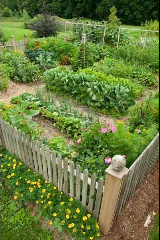 Vegetable Garden