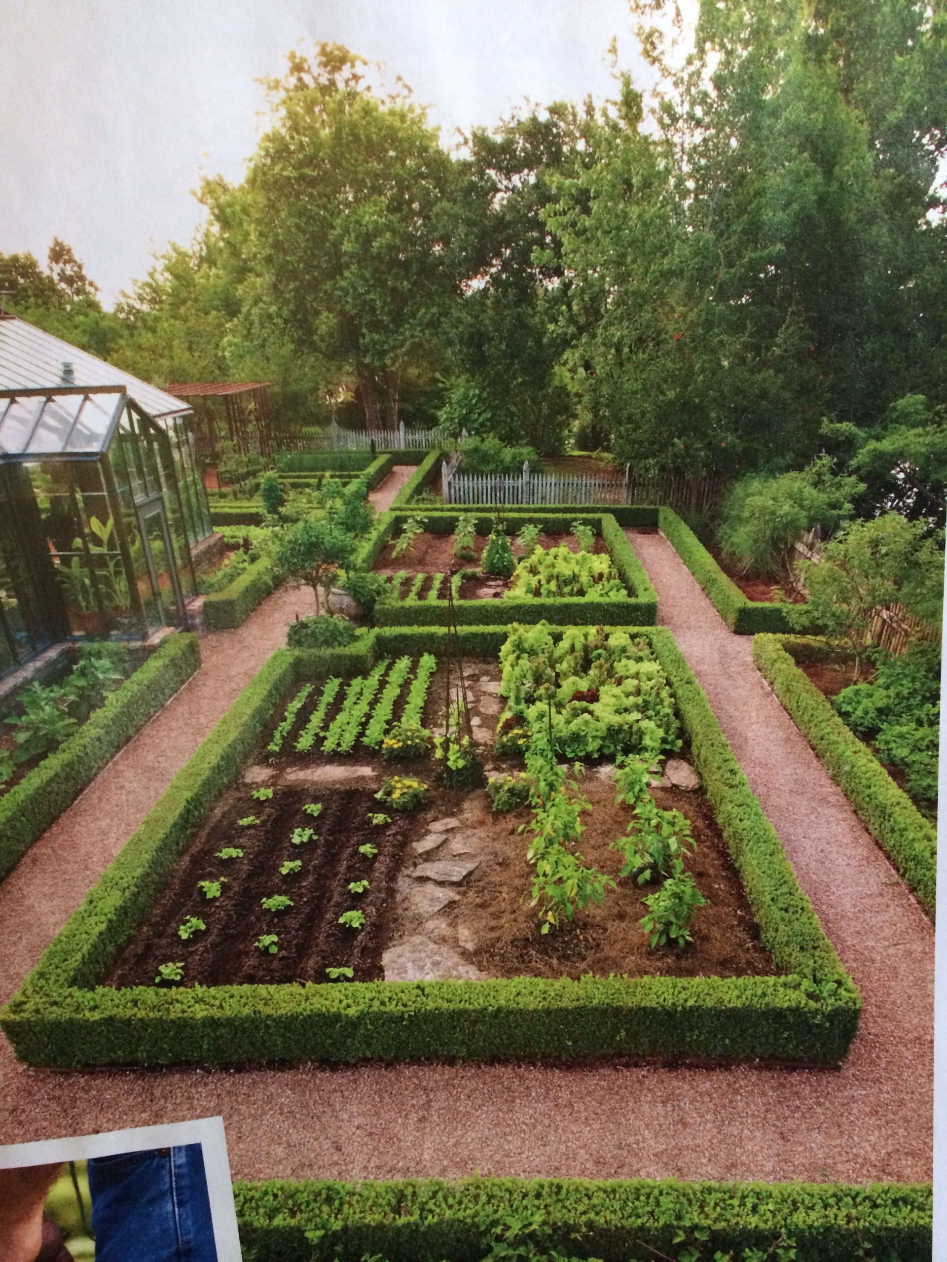 Vegetable Garden