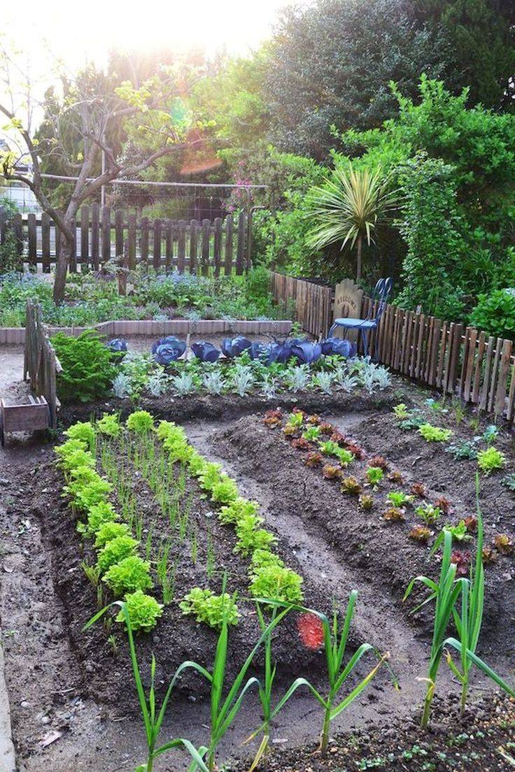 Very Beautiful Backyard Vegetable Garden Designs