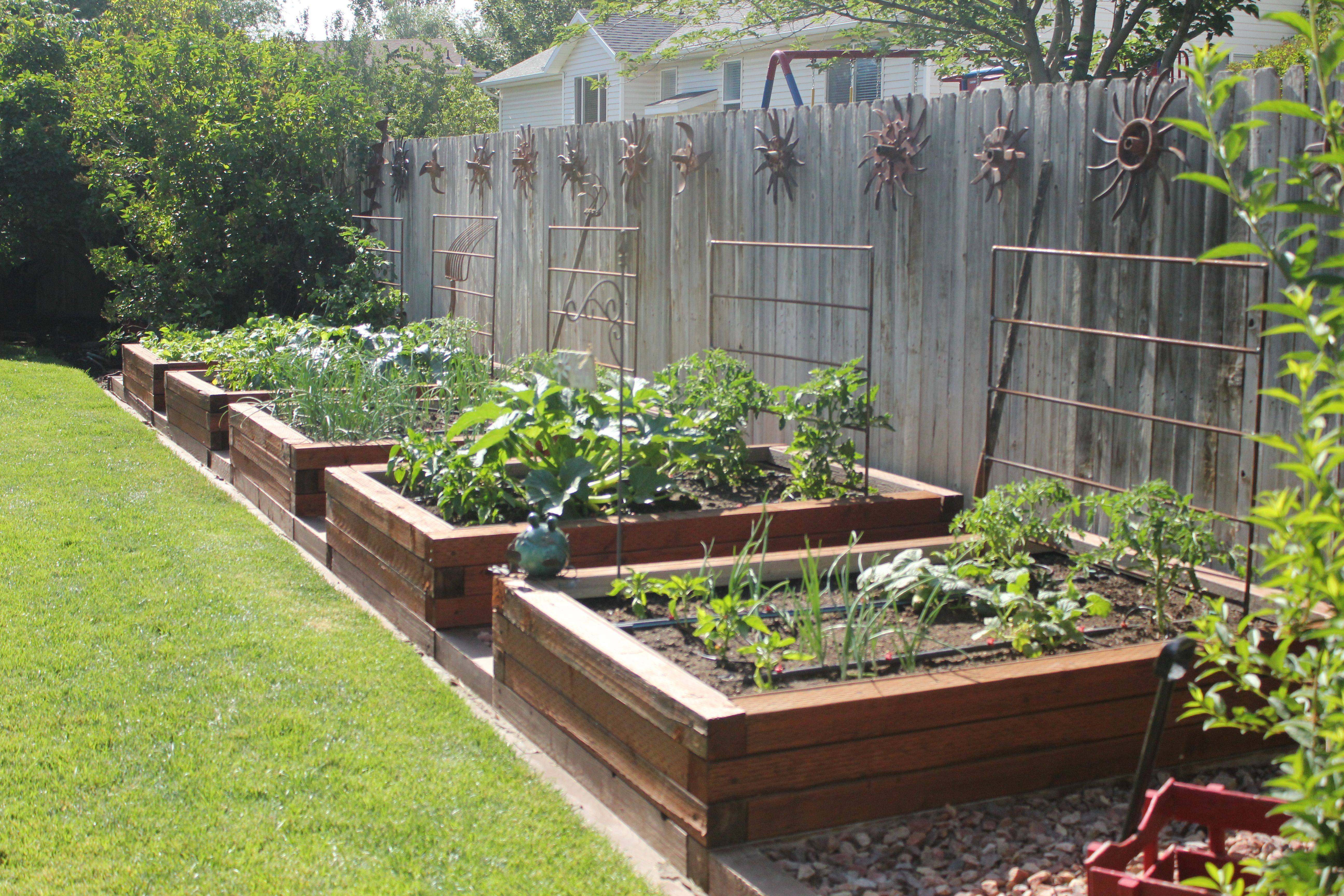 A Very Organized And Beautiful Vegetable Garden