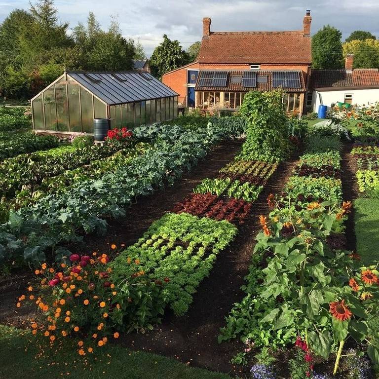 Beautiful Raised Beds