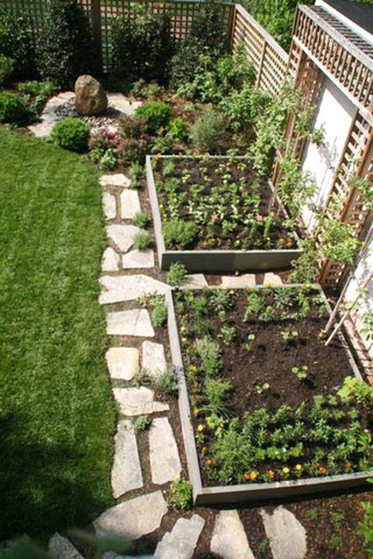 Beautiful Vegetable Garden