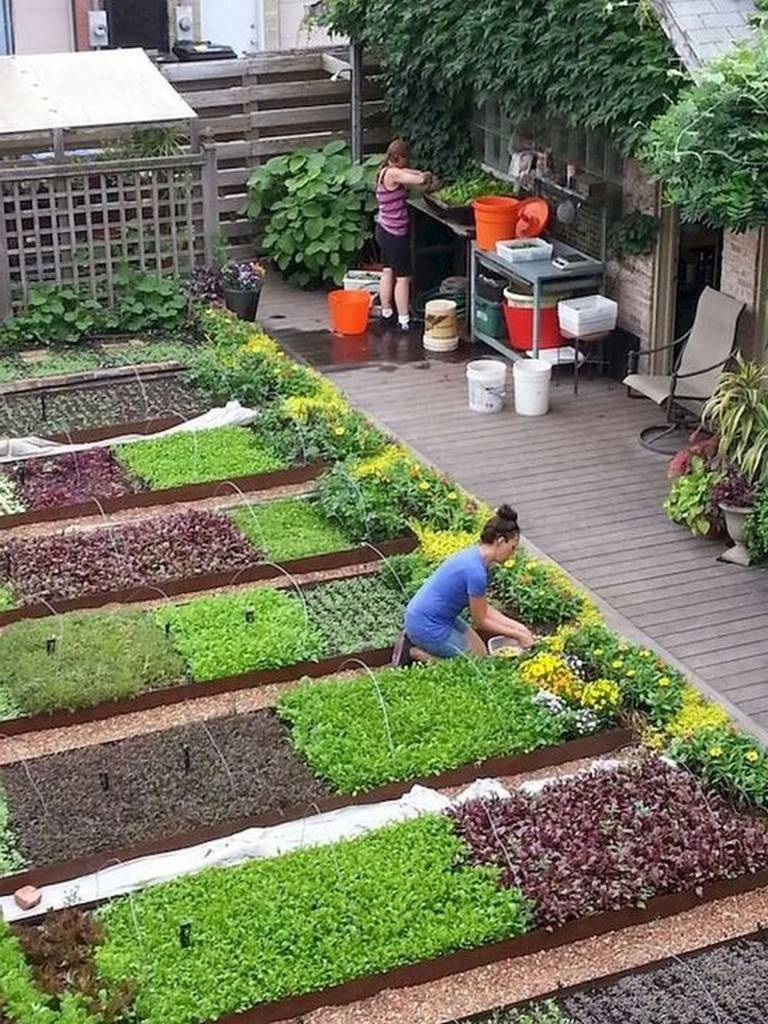 Most Beautiful Vegetable Gardens