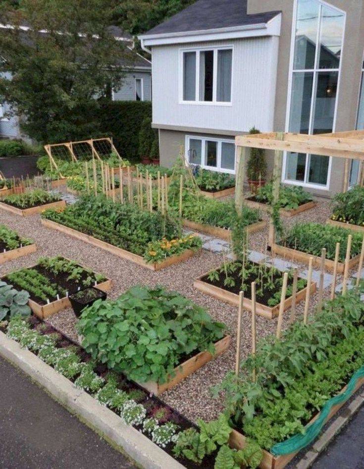 Vegetablegarden Backyard Landscaping