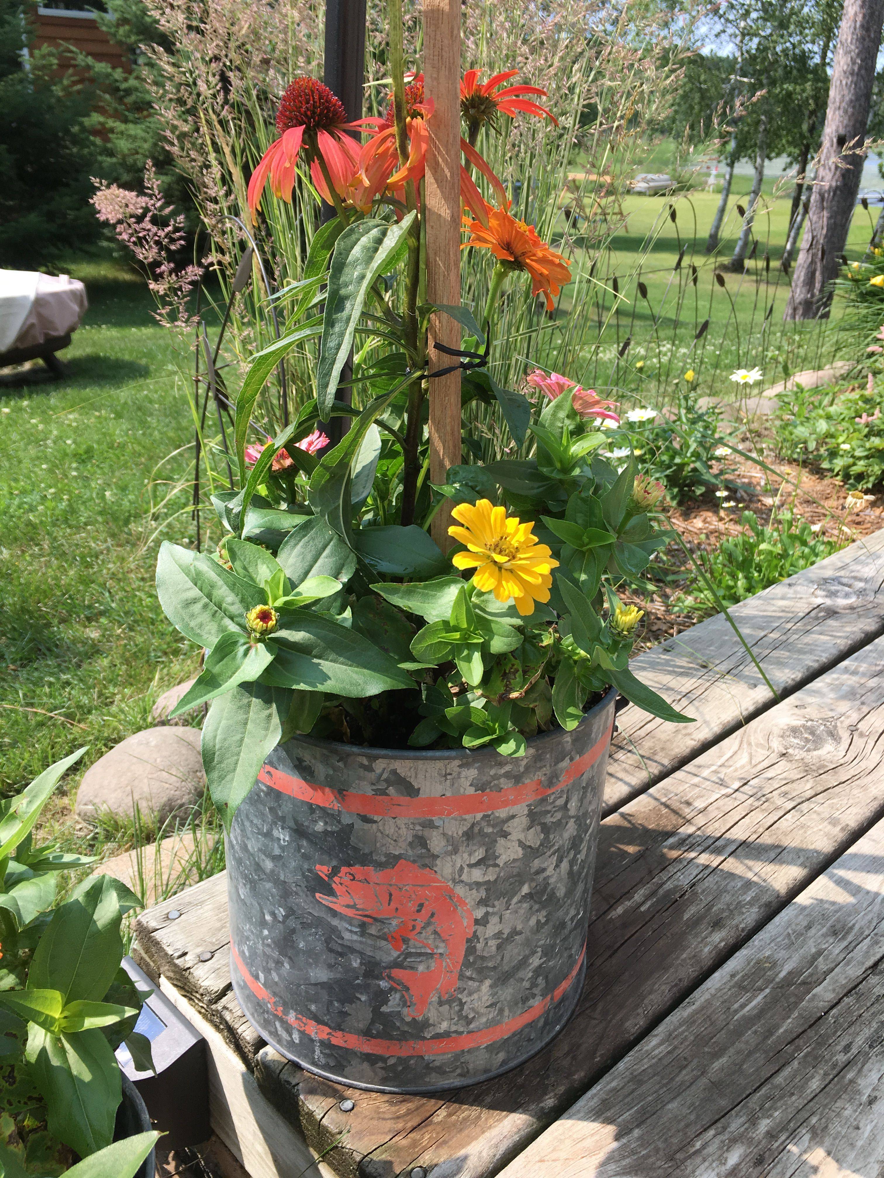 21 Bucket Garden Ideas To Try This Year | SharonSable