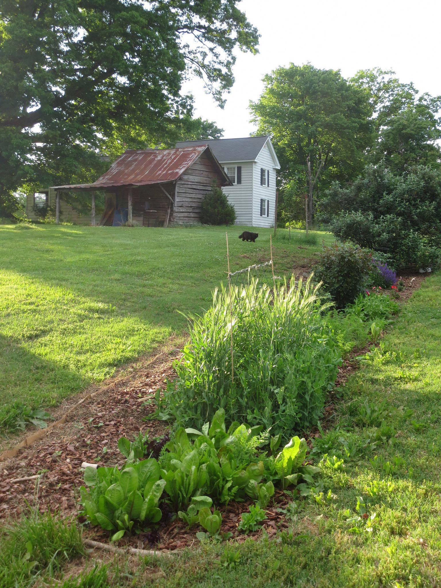 Beautiful Small Cottage Flowers Garden