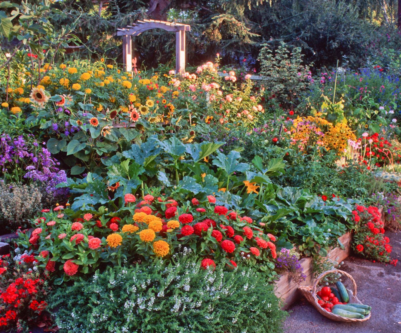 Beautiful Backyard Garden Landscaping Ideas