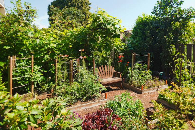 Fascinating Fruit And Vegetable Garden Ideas You Need To Try