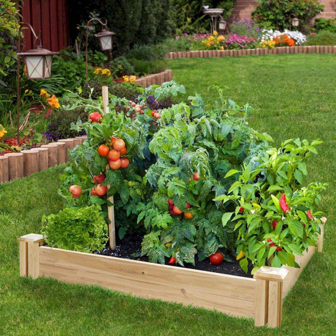 Fascinating Fruit And Vegetable Garden Ideas You Need To Try