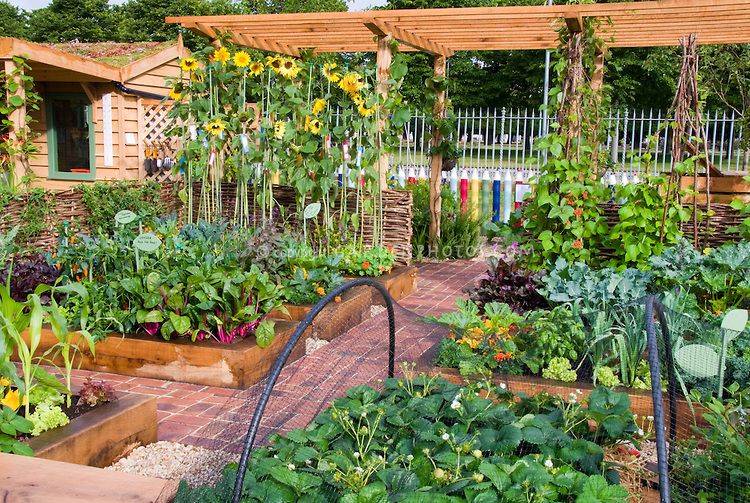 Beautiful Fruit And Vegetable Garden Ideas