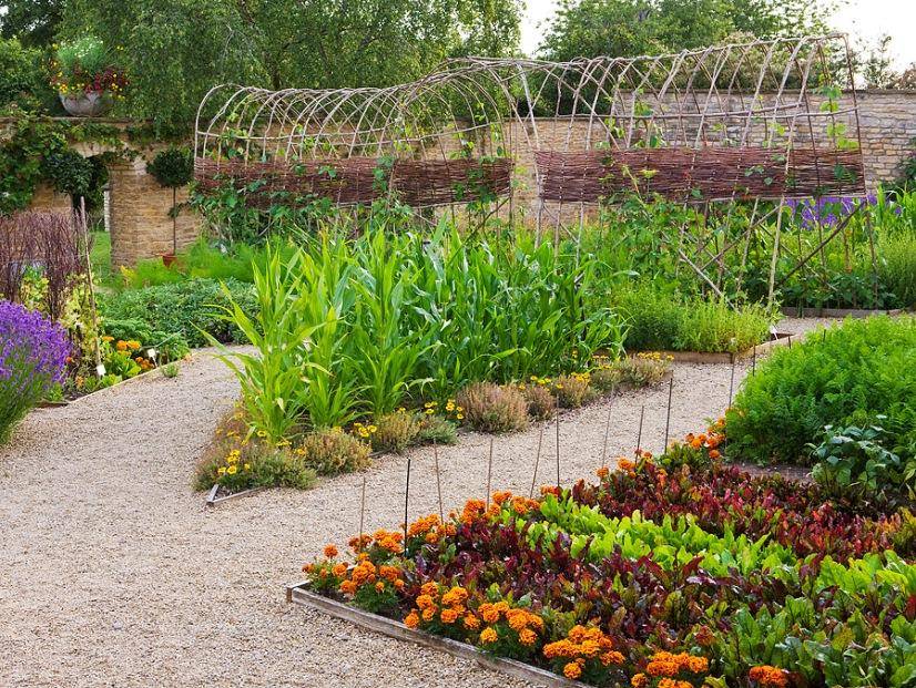 Beautiful Fruit And Vegetable Garden Ideas