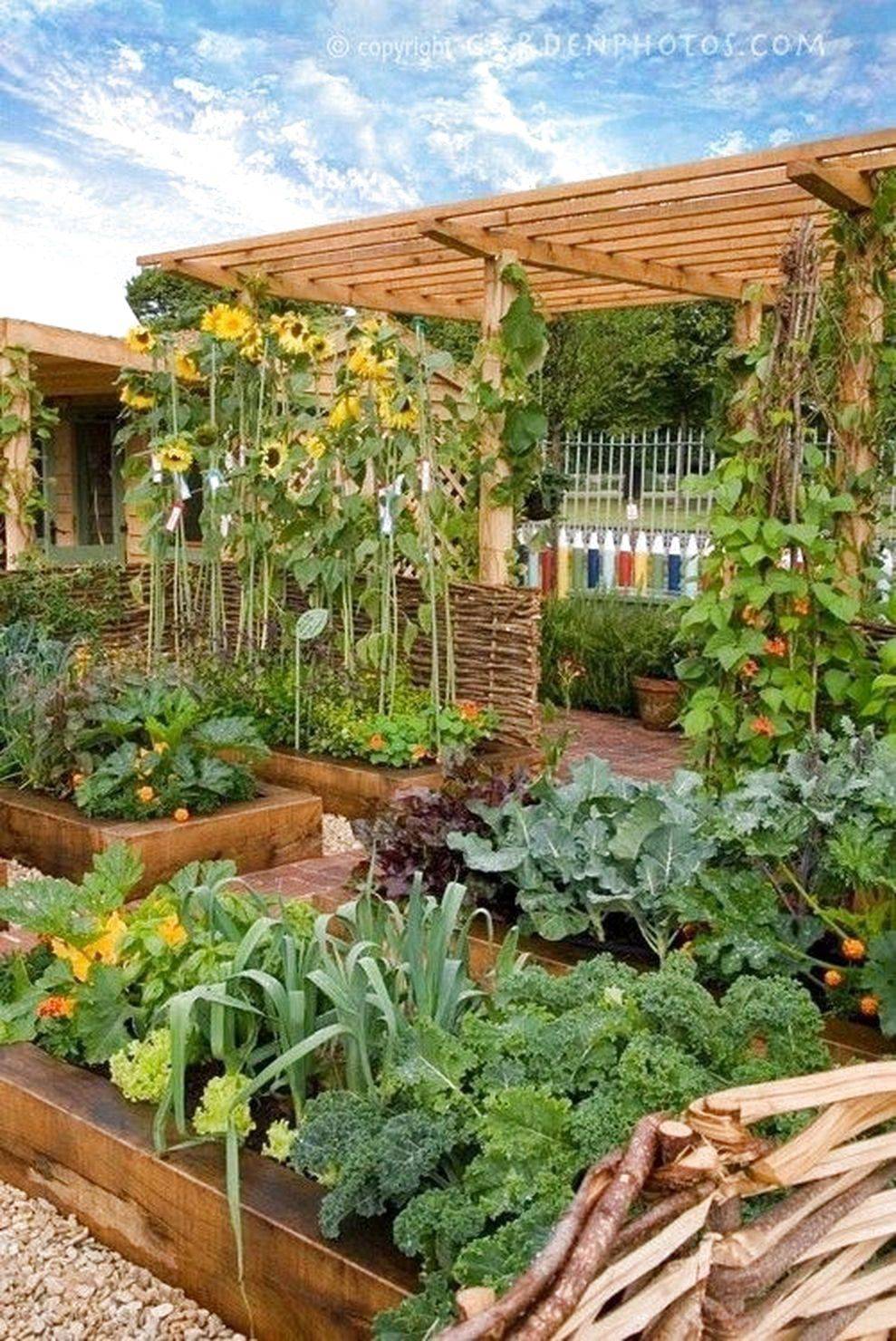 Beautifuly Colorful Vegetable Garden Design Ideas Page