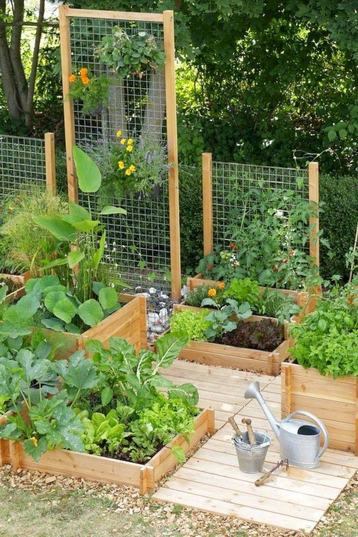 A Fruit And Vegetable Garden