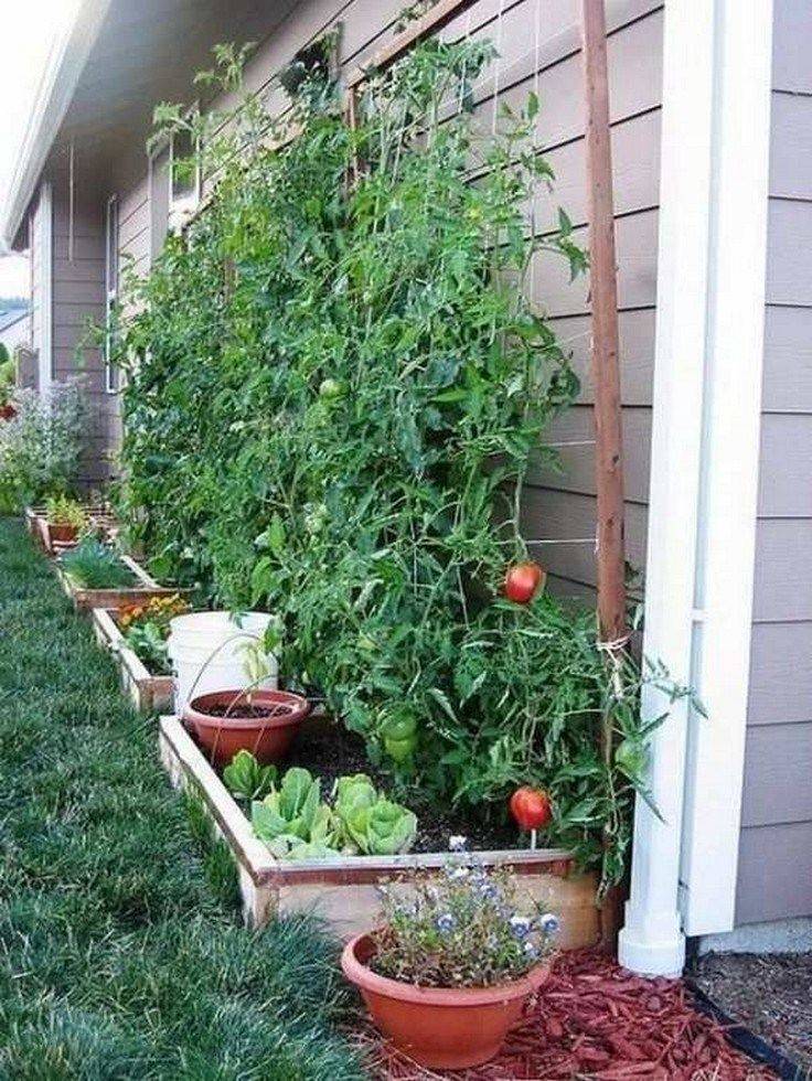 Raised Vegetable Garden Ideas