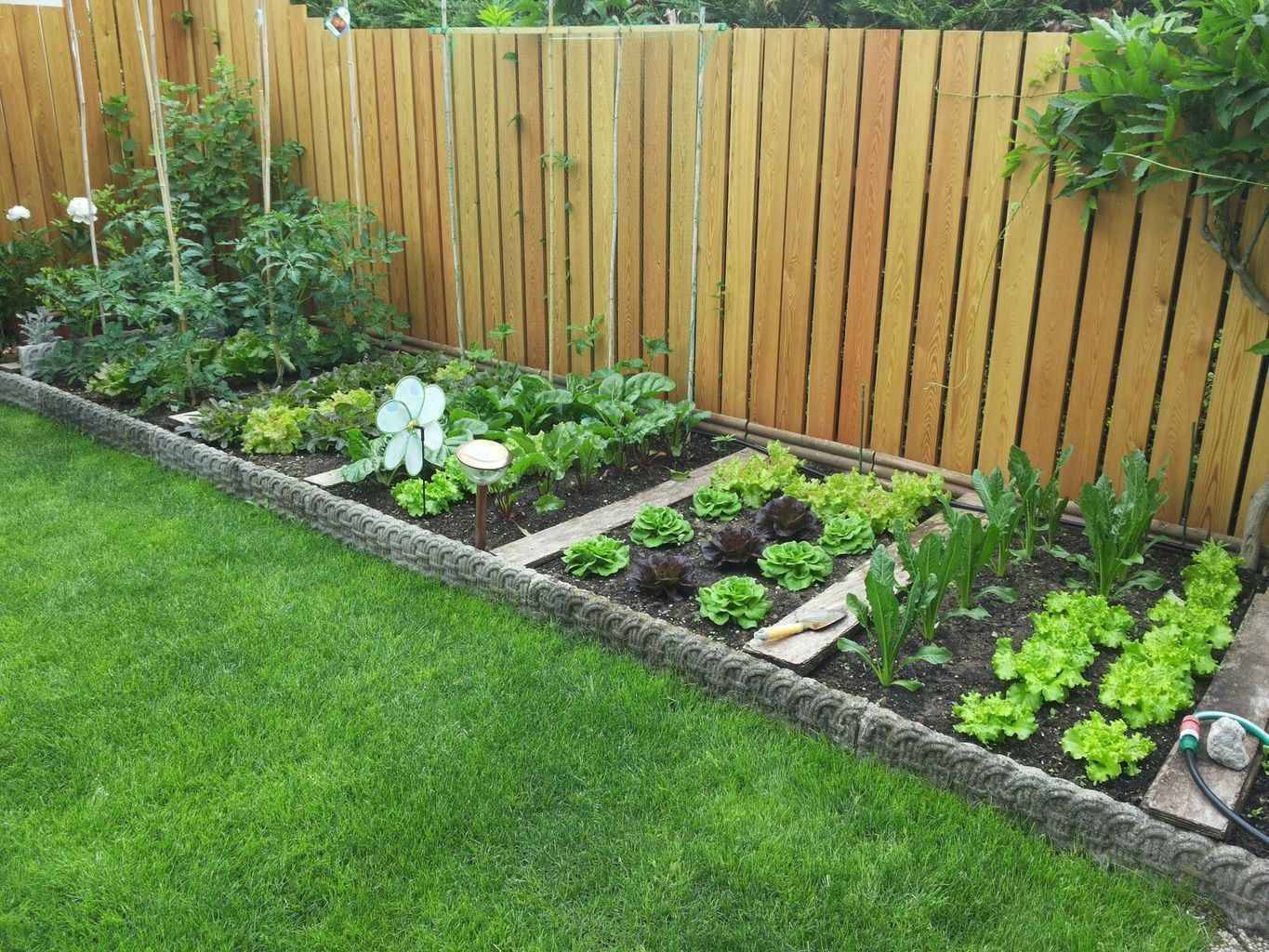 17 Small Vegetable Garden Layout Design Ideas Worth A Look Sharonsable