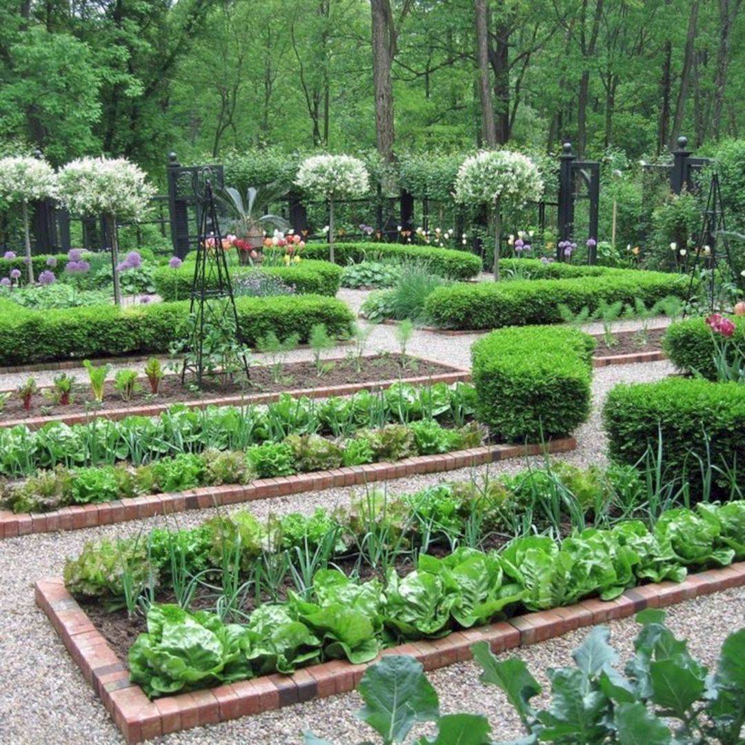 17 Beginner Vegetable Garden Layout Ideas You Should Look | SharonSable