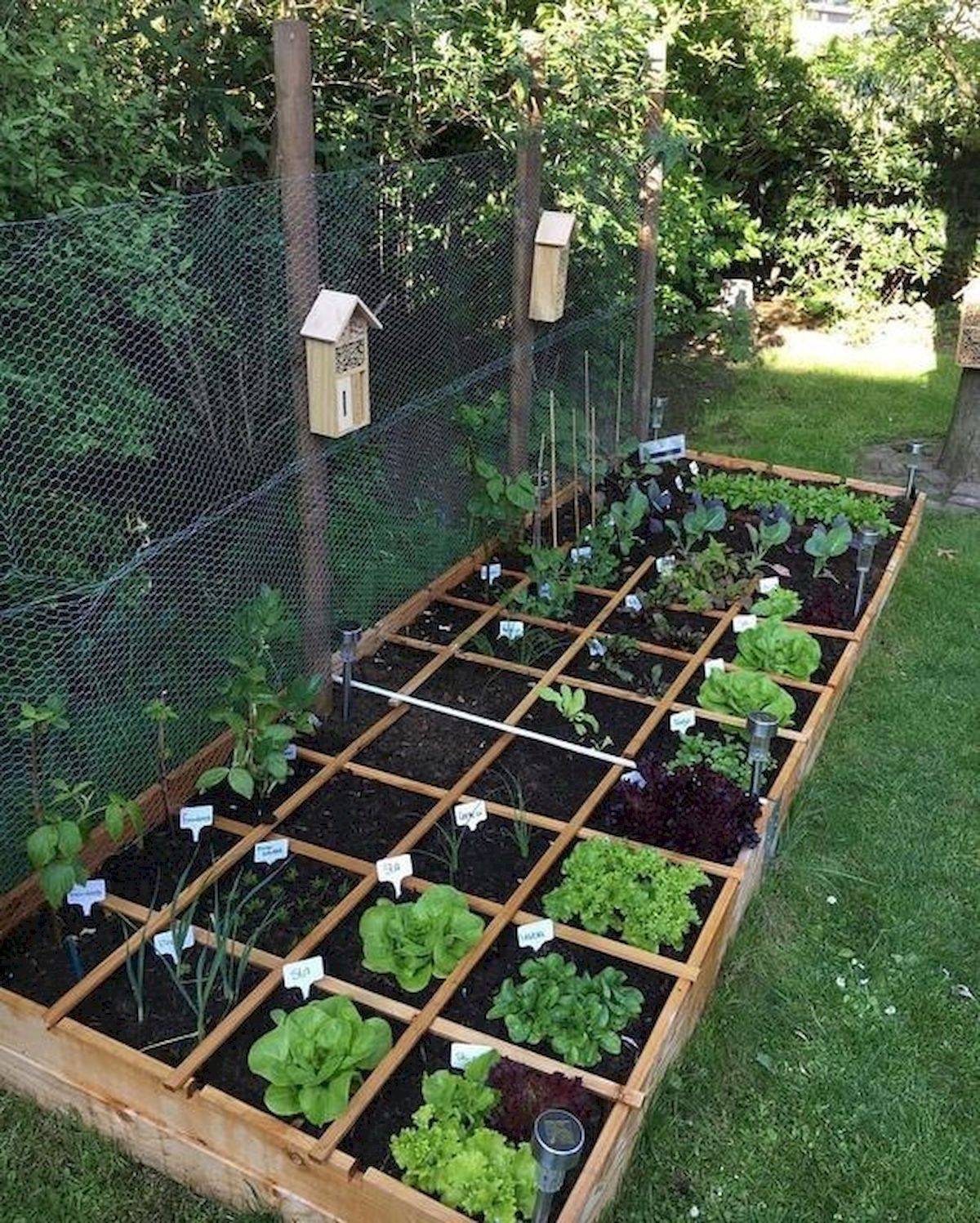 17 Beginner Vegetable Garden Layout Ideas You Should Look Sharonsable 0198