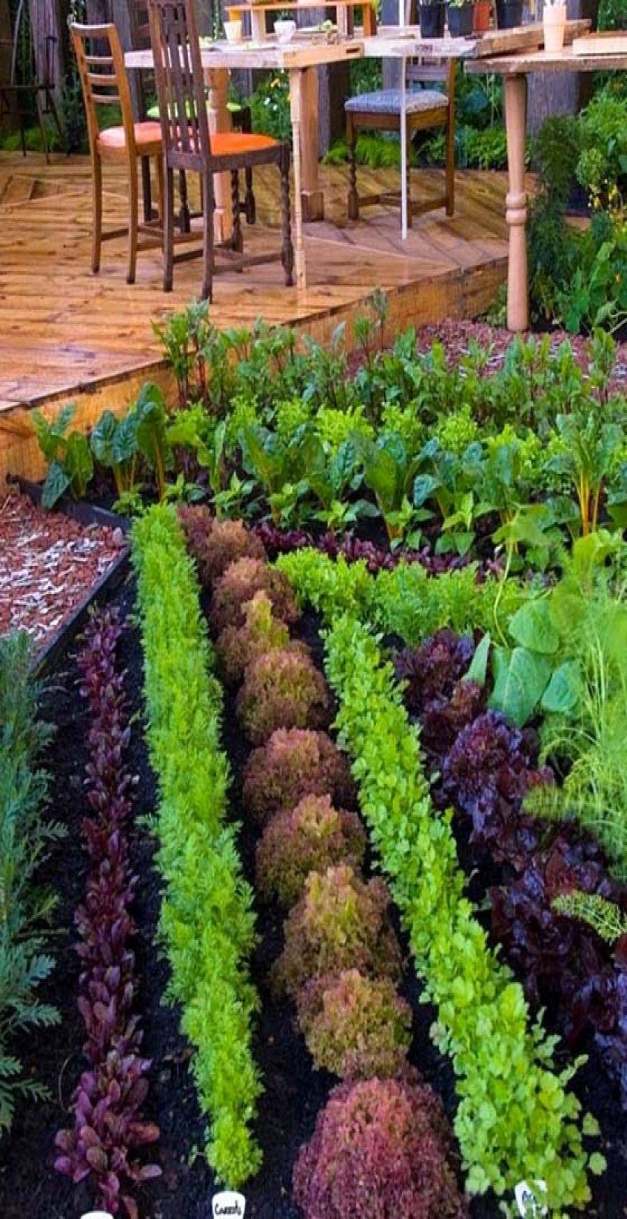 20 Vegetable Garden Layout for Beginners Ideas You Should Look ...