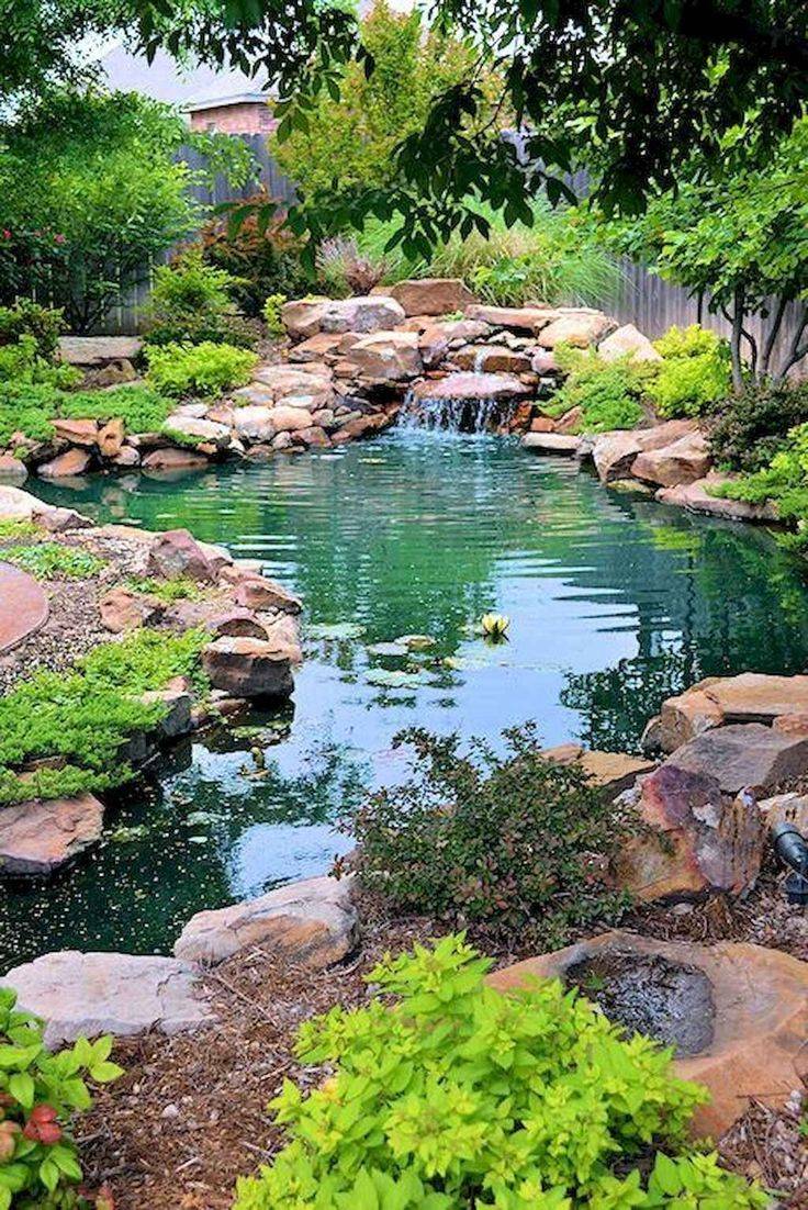 22 Beautiful Water Garden Ideas For This Year | SharonSable