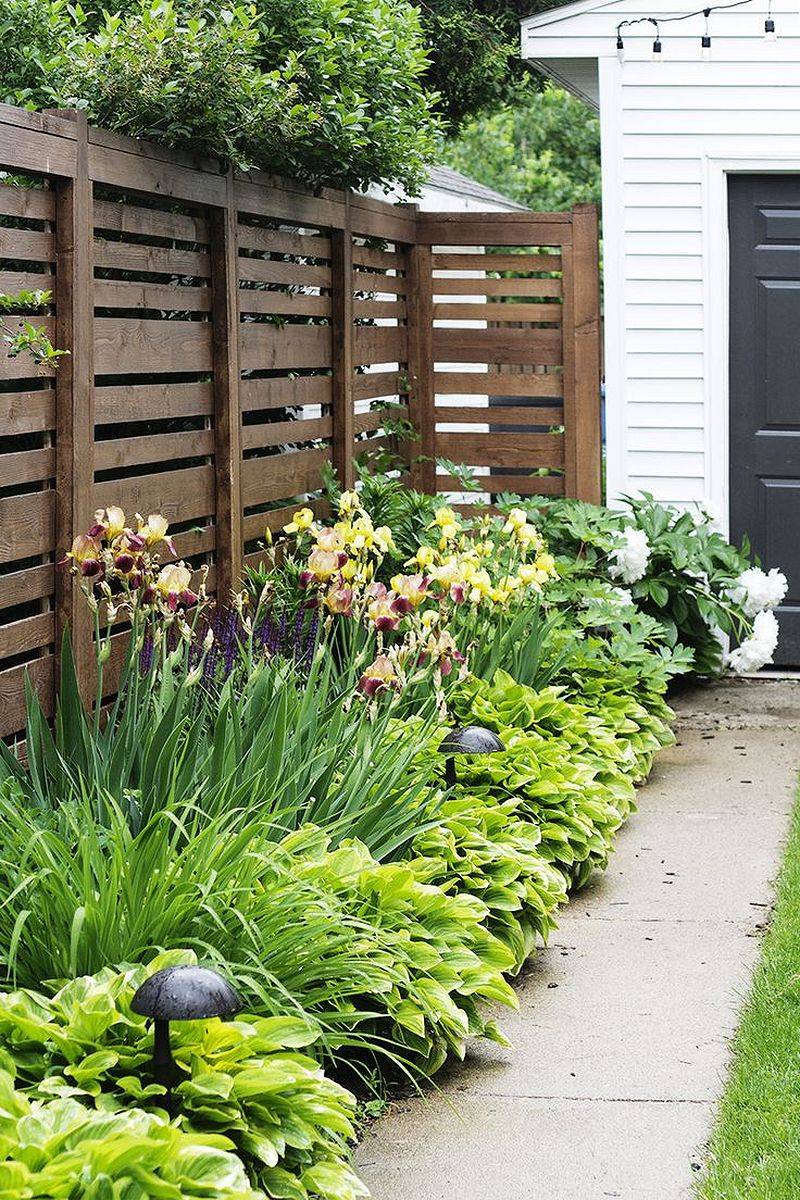 Privacy Fence Landscaping