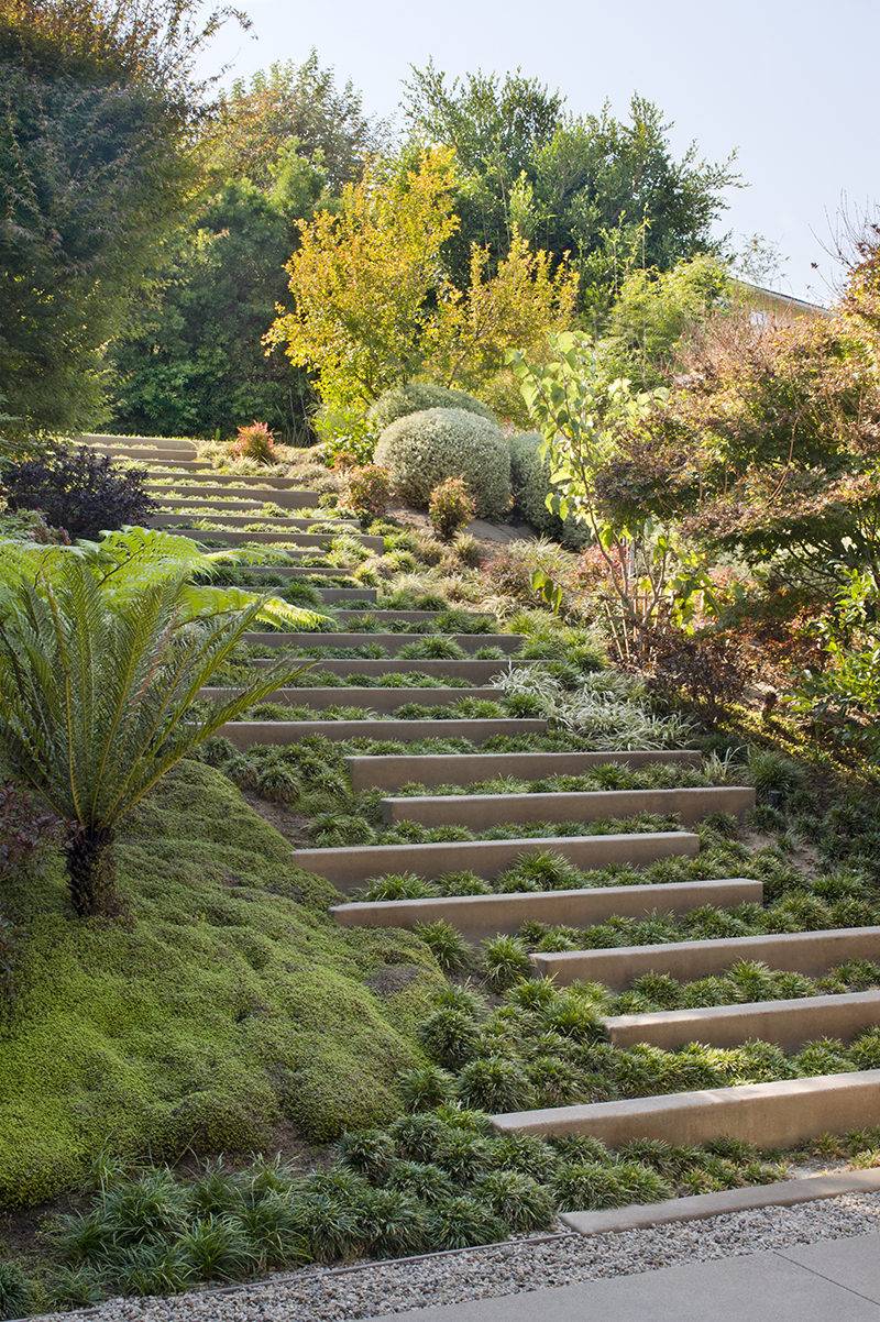 22 Steep Garden Ideas To Consider | SharonSable