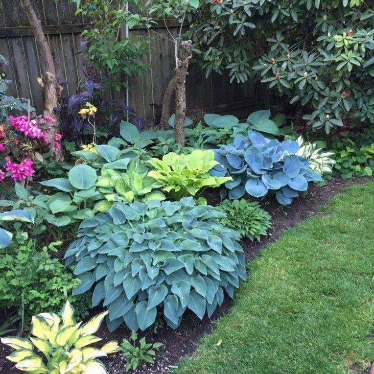 23 Pacific Northwest Shade Garden Ideas You Cannot Miss 