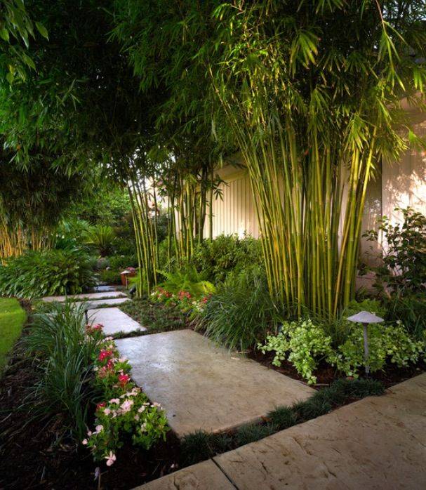 25 Tropical Zen Garden Ideas You Should Check Sharonsable