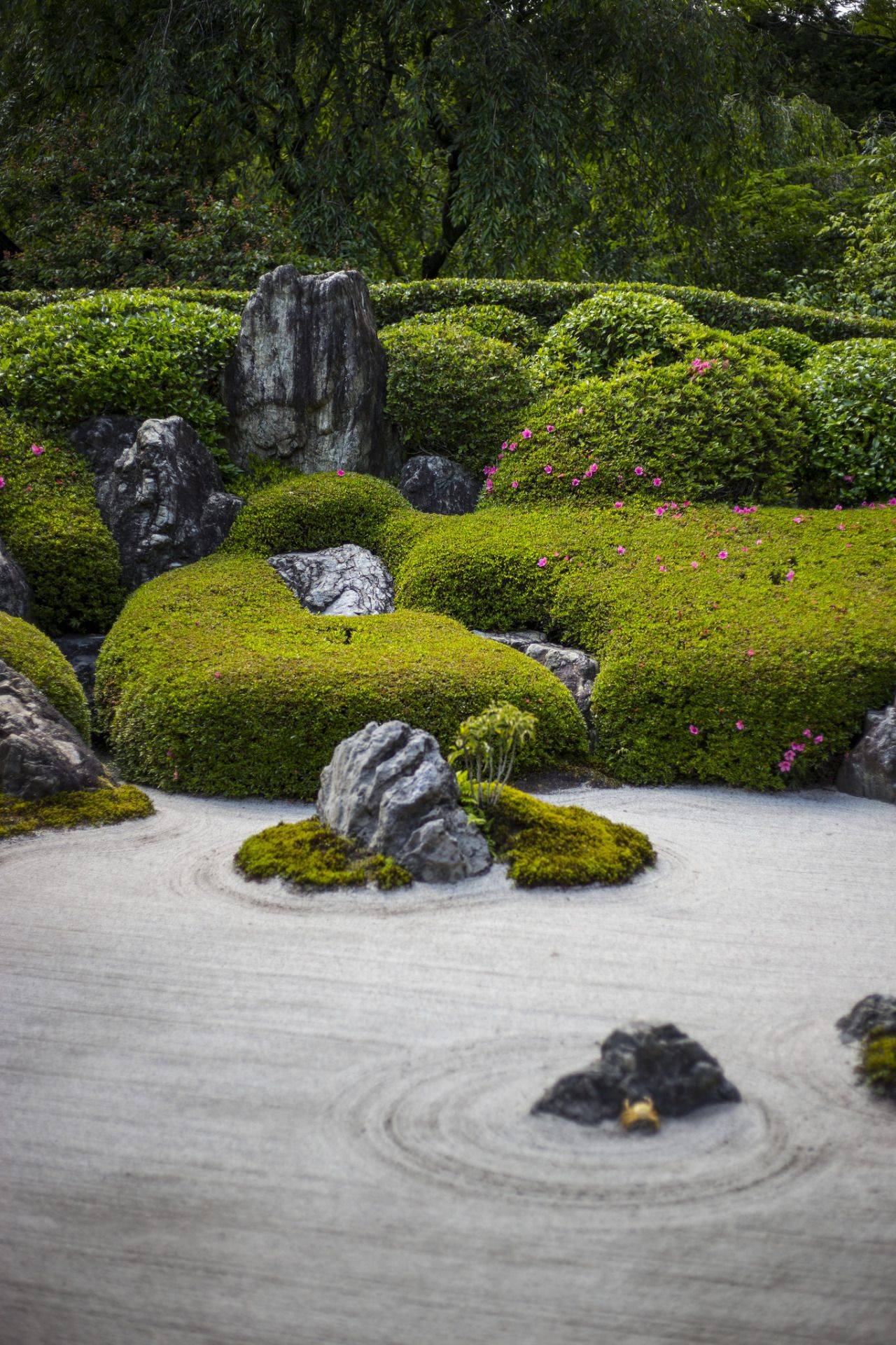 19 Zen Sand Garden Ideas You Must Look | SharonSable