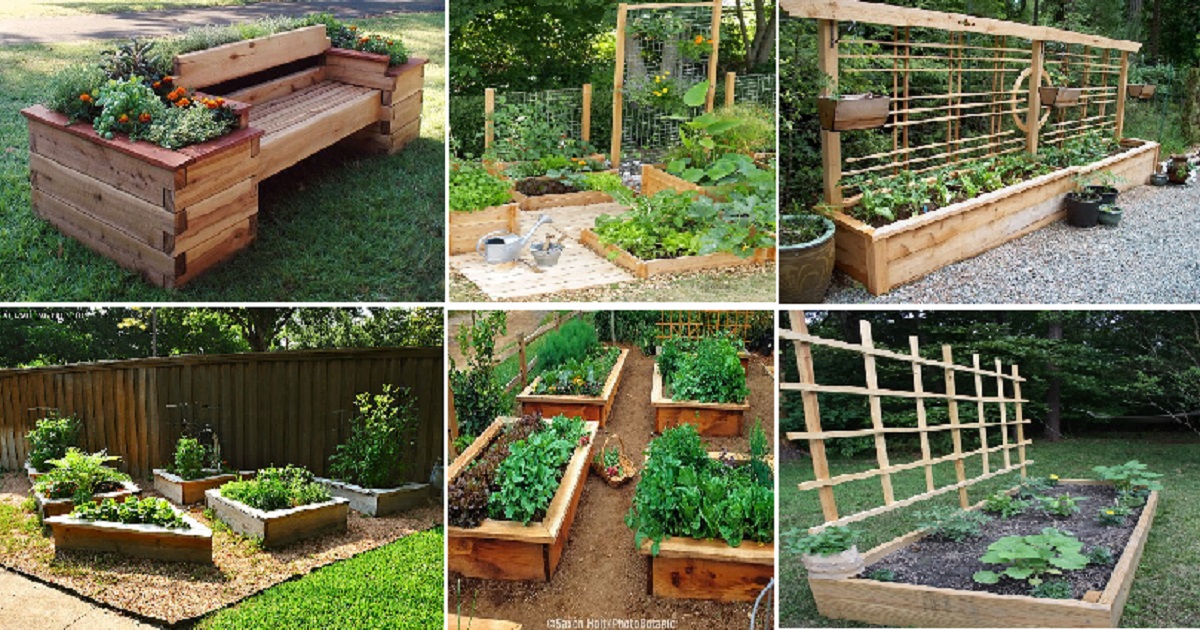 Raised Bed